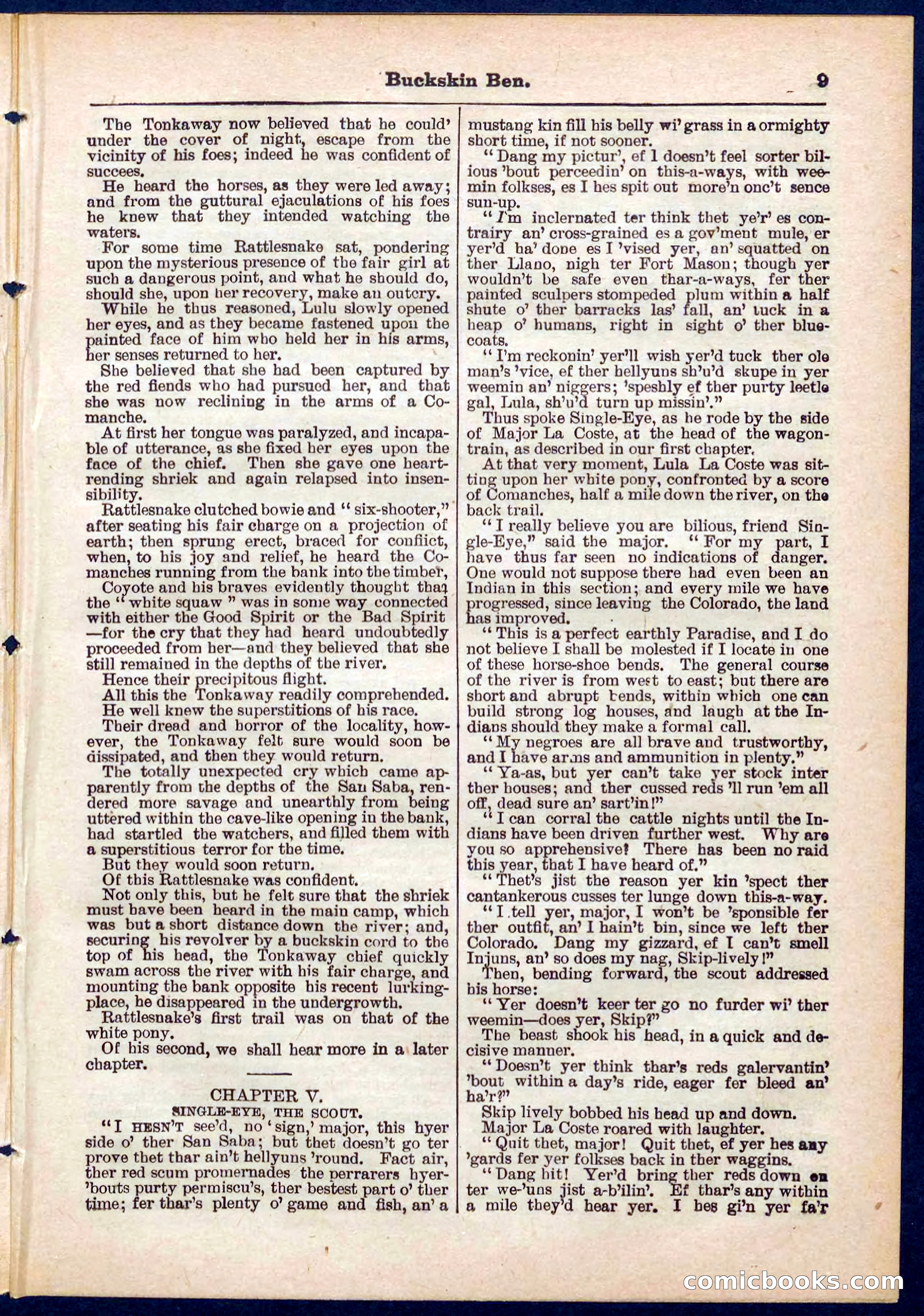 Beadle's Pocket Library No. 317 — page 9 of 32