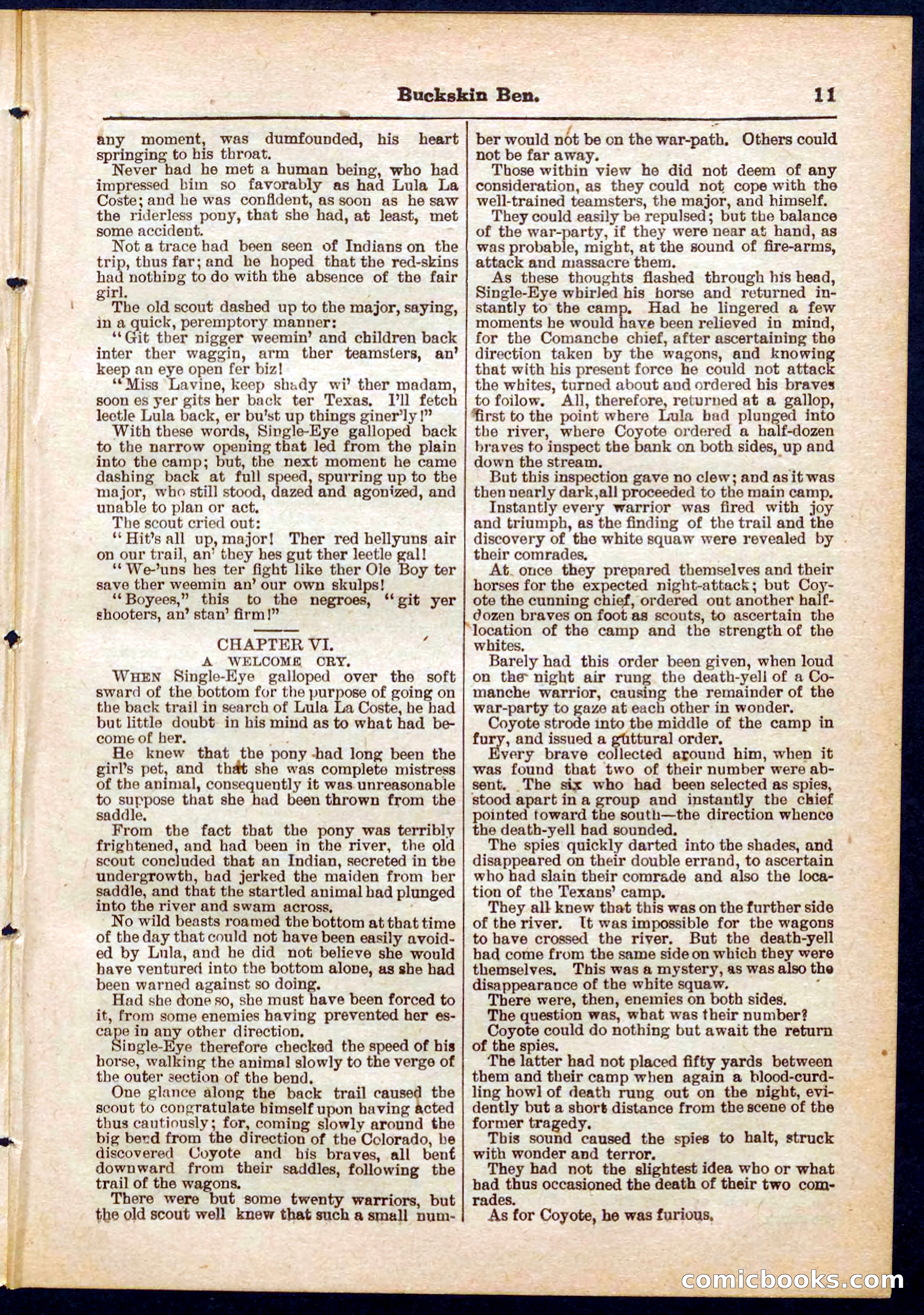 Beadle's Pocket Library No. 317 — page 11 of 32