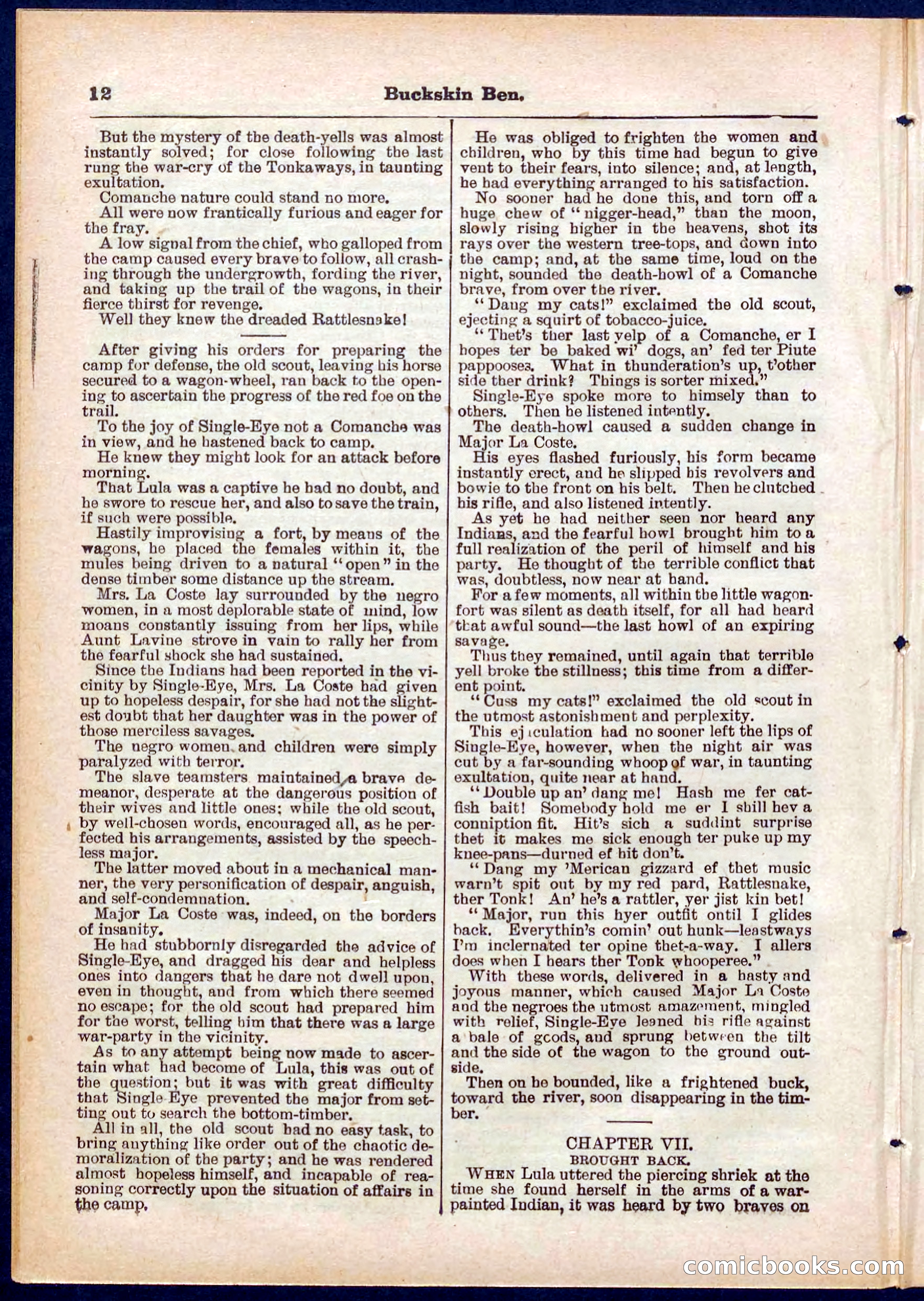 Beadle's Pocket Library No. 317 — page 12 of 32