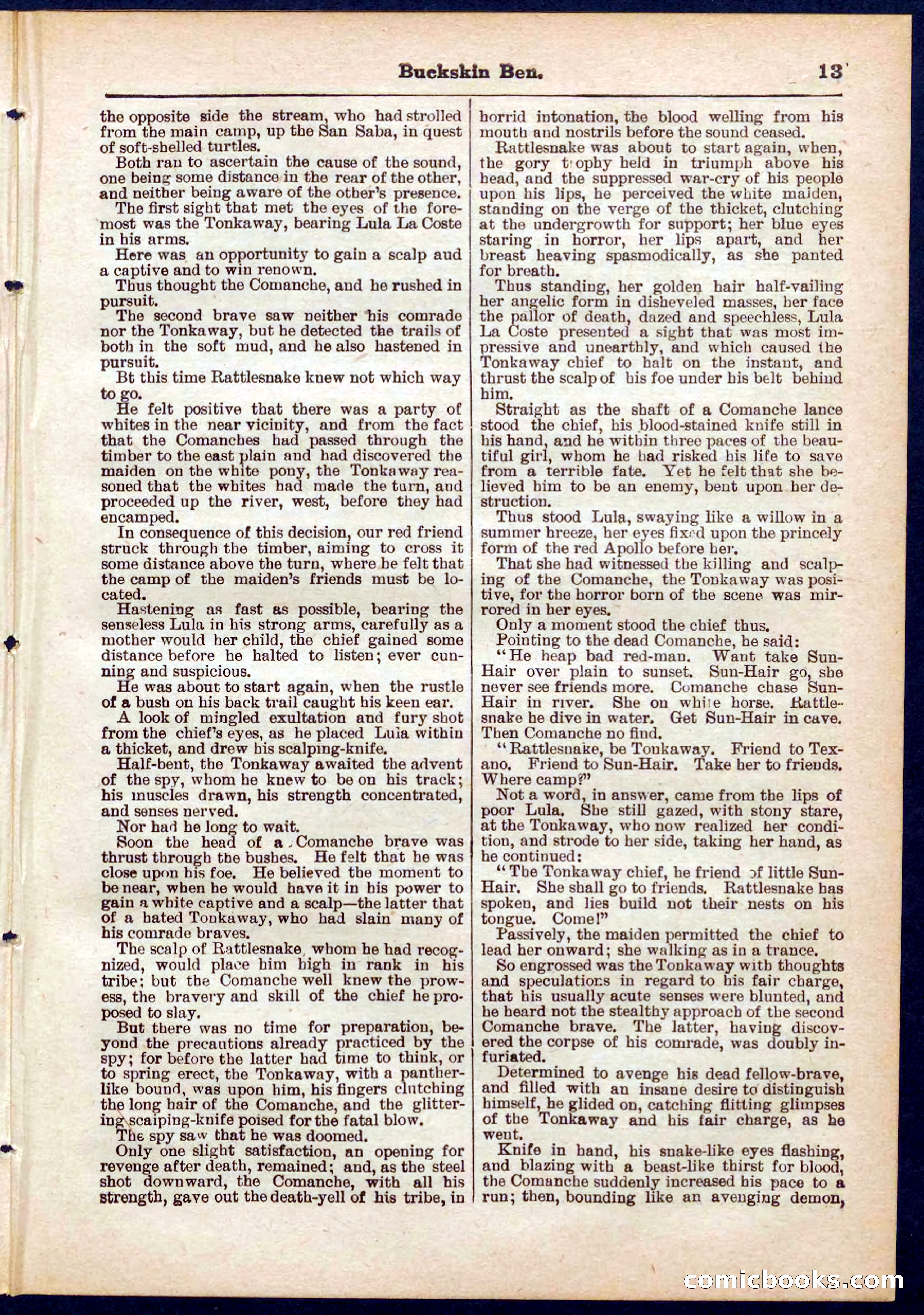 Beadle's Pocket Library No. 317 — page 13 of 32