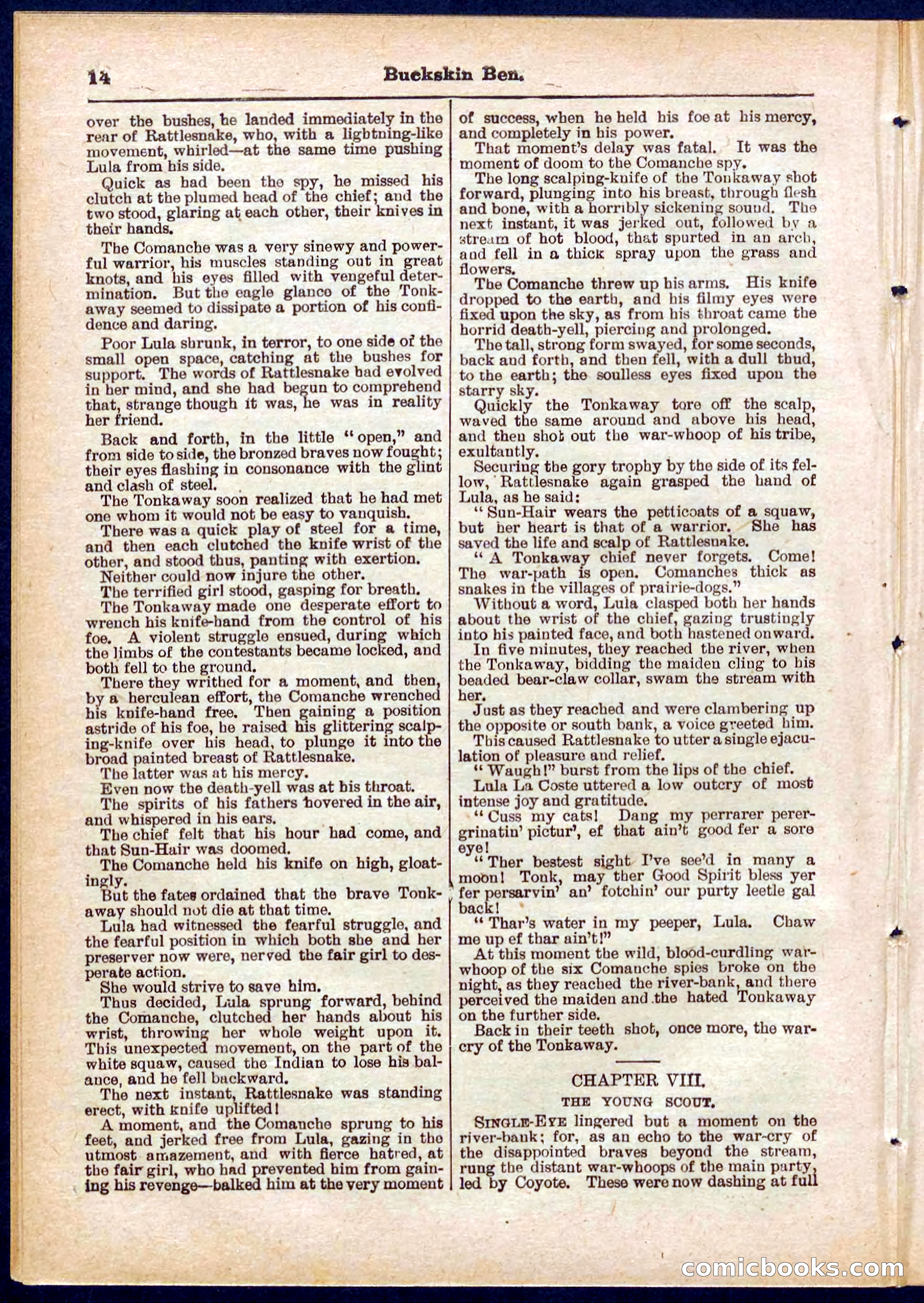 Beadle's Pocket Library No. 317 — page 14 of 32
