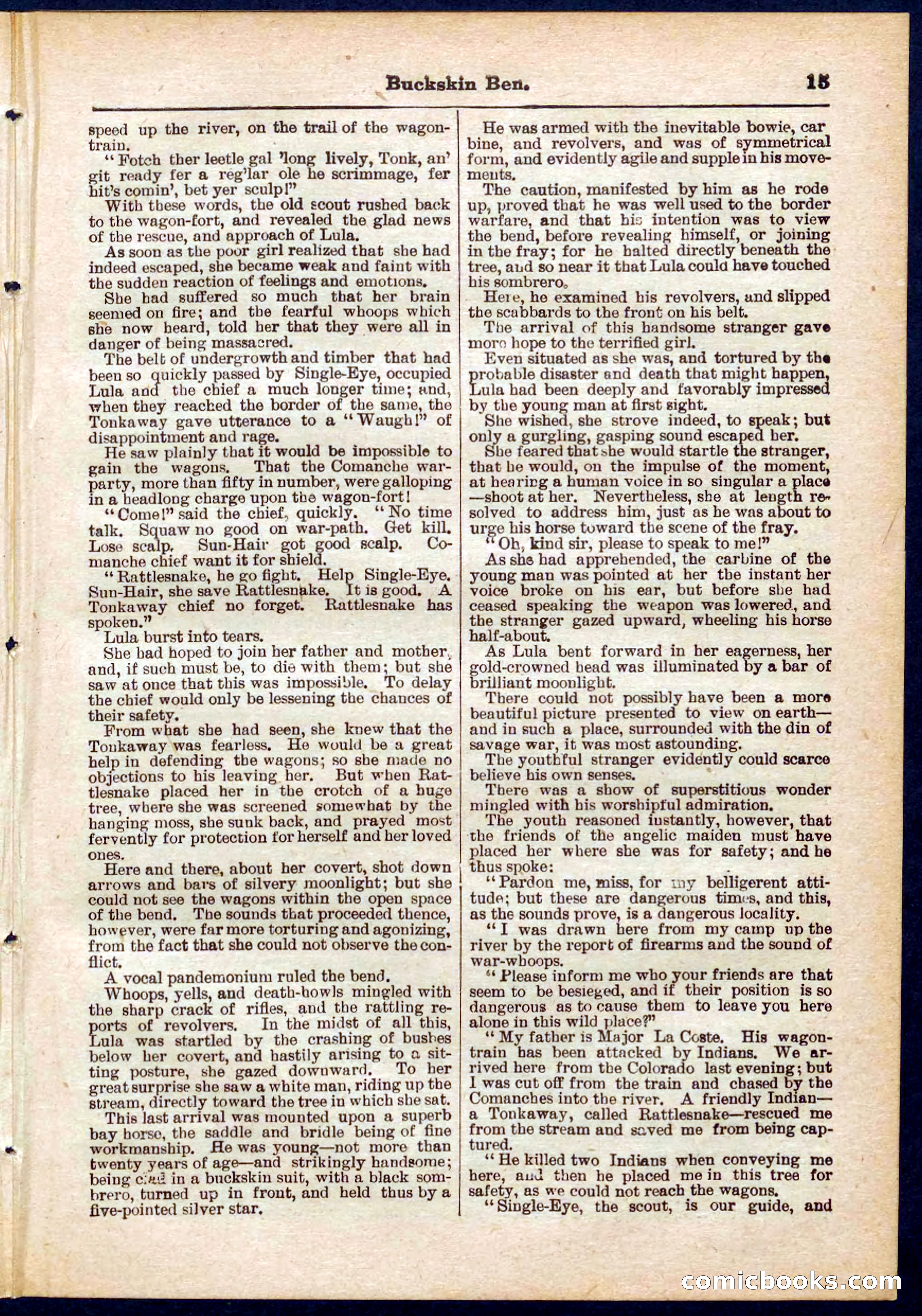 Beadle's Pocket Library No. 317 — page 15 of 32