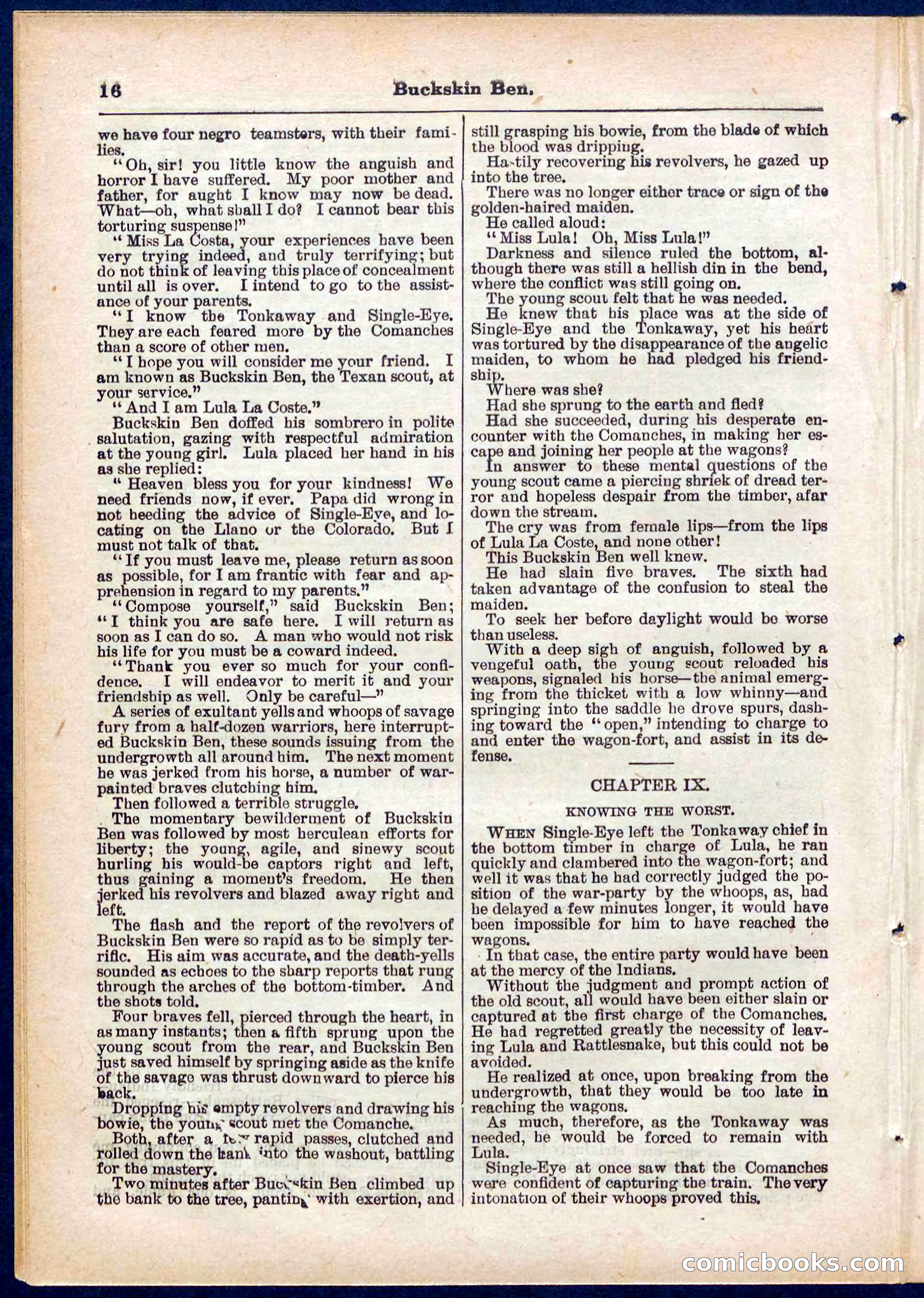 Beadle's Pocket Library No. 317 — page 16 of 32