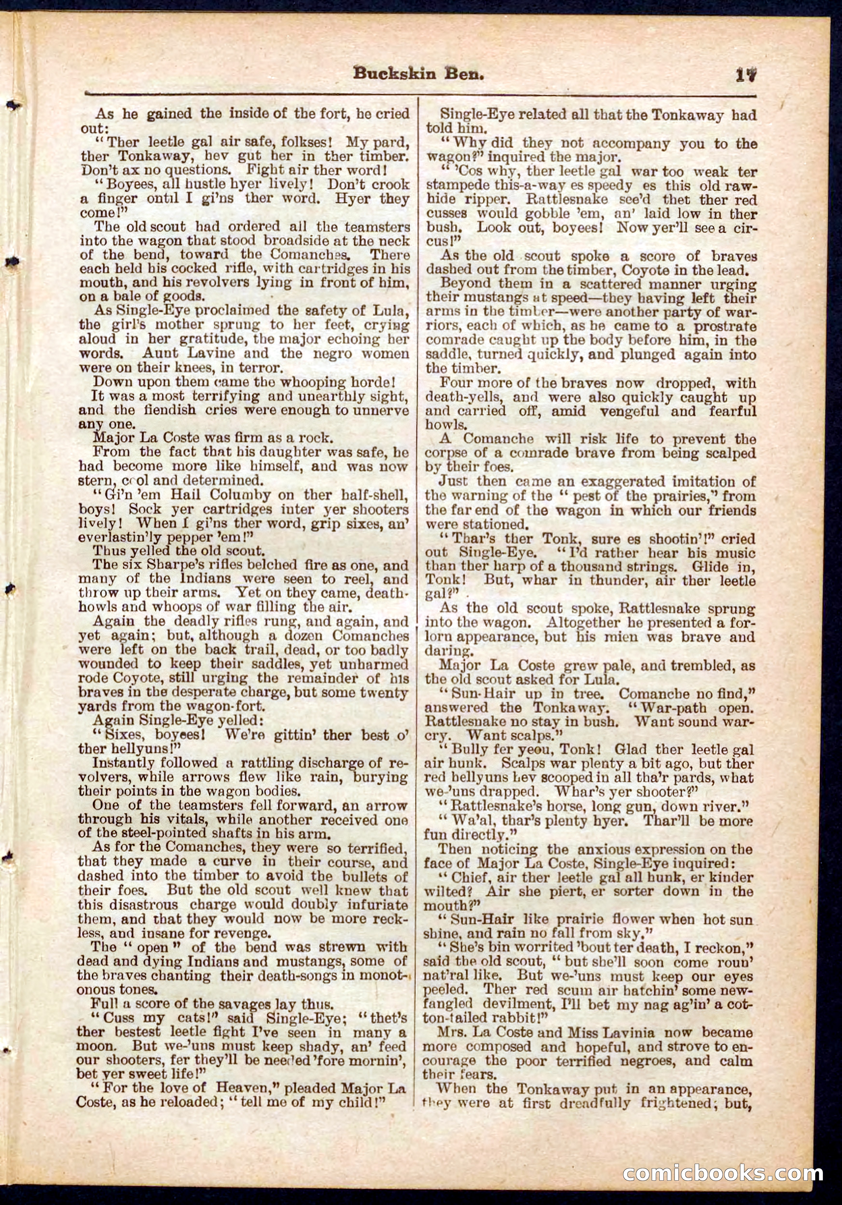 Beadle's Pocket Library No. 317 — page 17 of 32