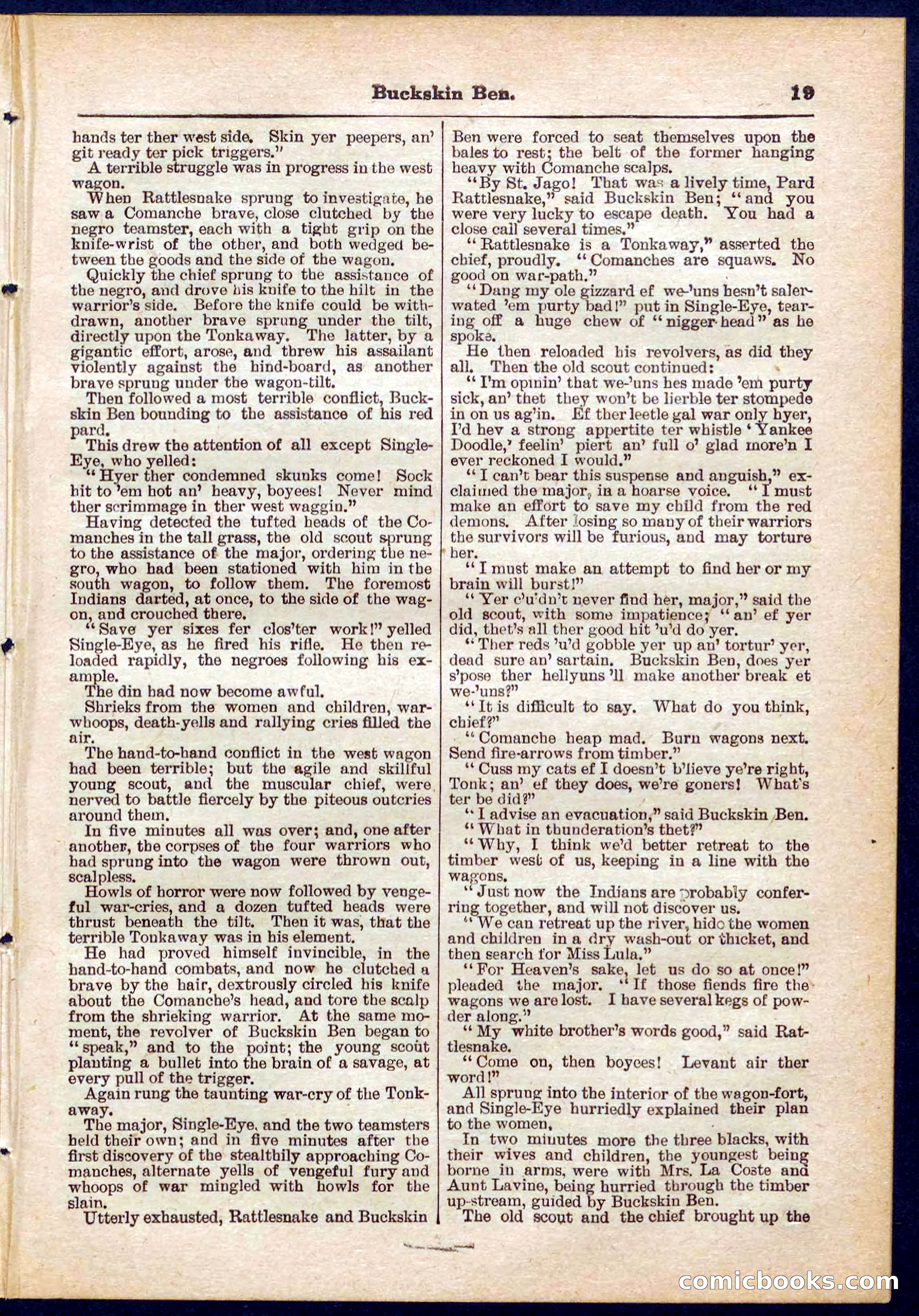 Beadle's Pocket Library No. 317 — page 19 of 32