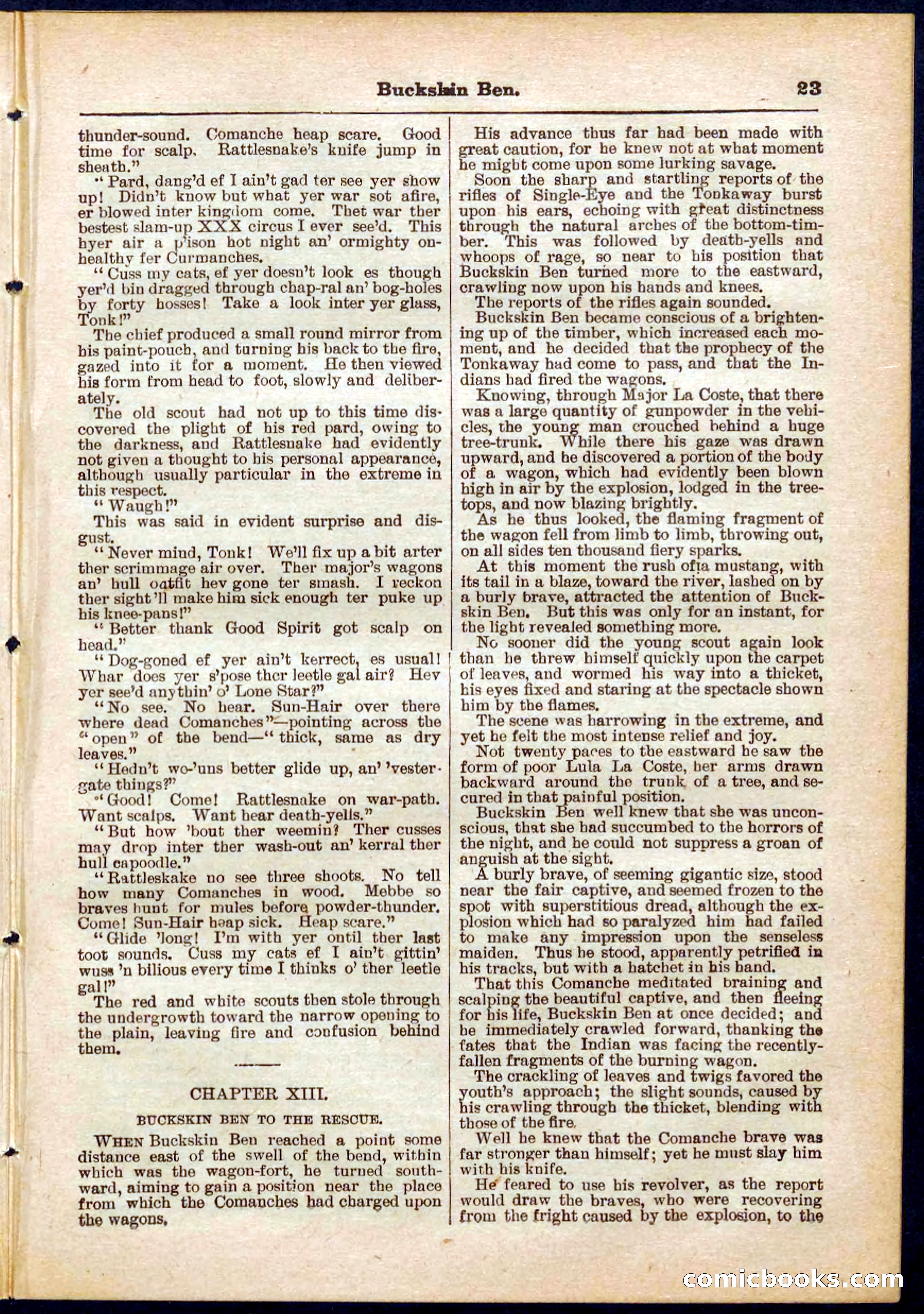 Beadle's Pocket Library No. 317 — page 23 of 32