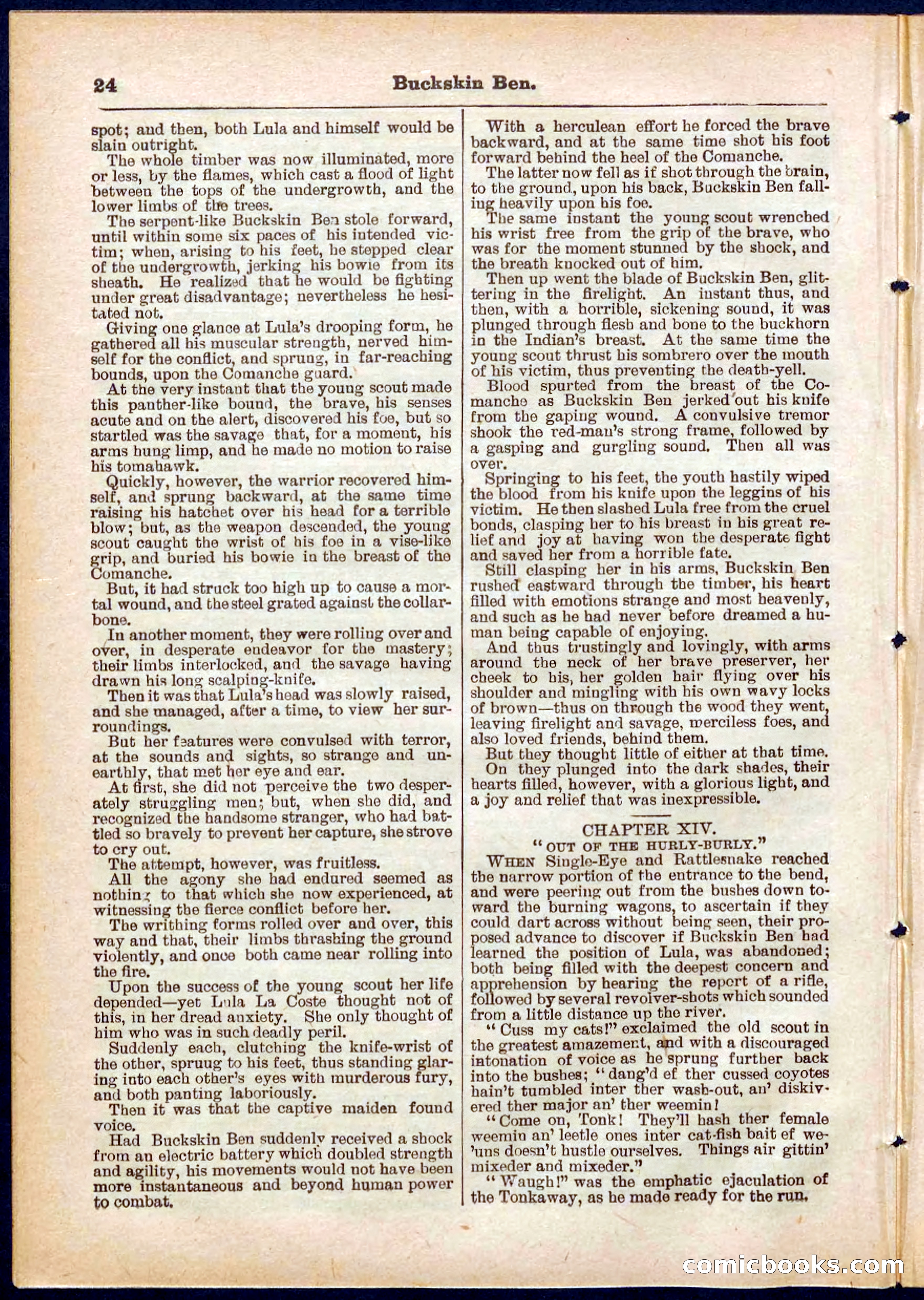 Beadle's Pocket Library No. 317 — page 24 of 32
