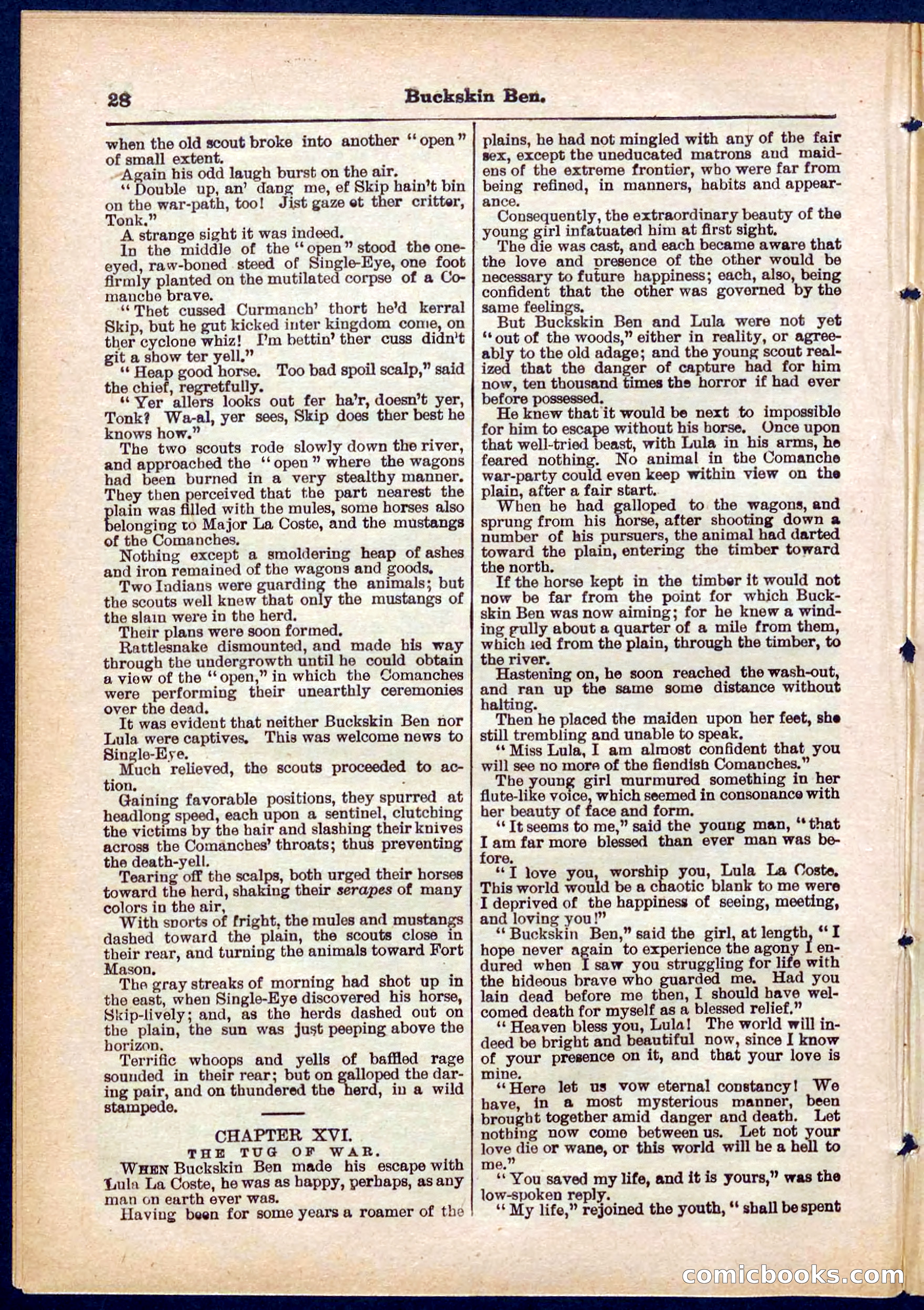 Beadle's Pocket Library No. 317 — page 28 of 32