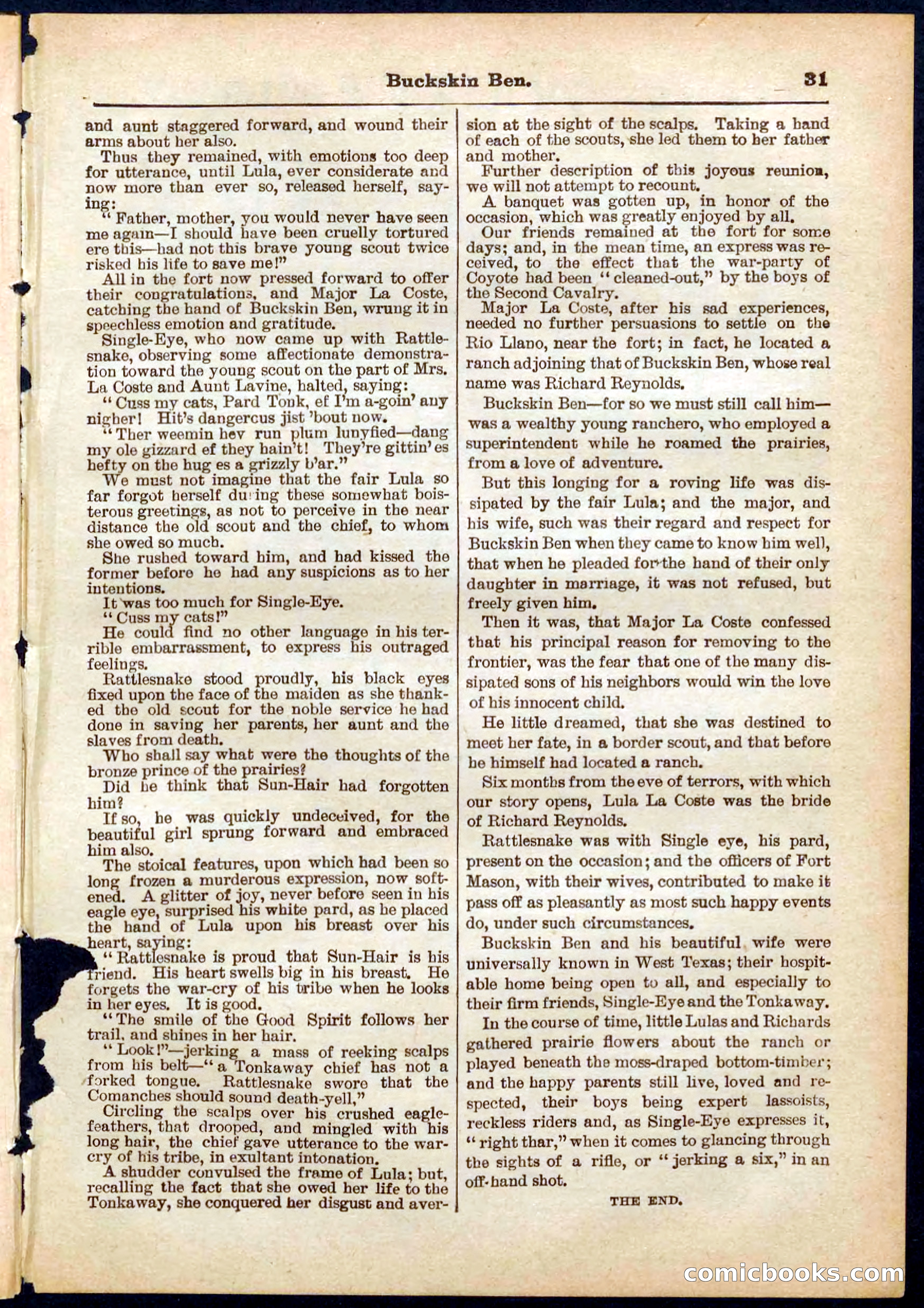 Beadle's Pocket Library No. 317 — page 31 of 32