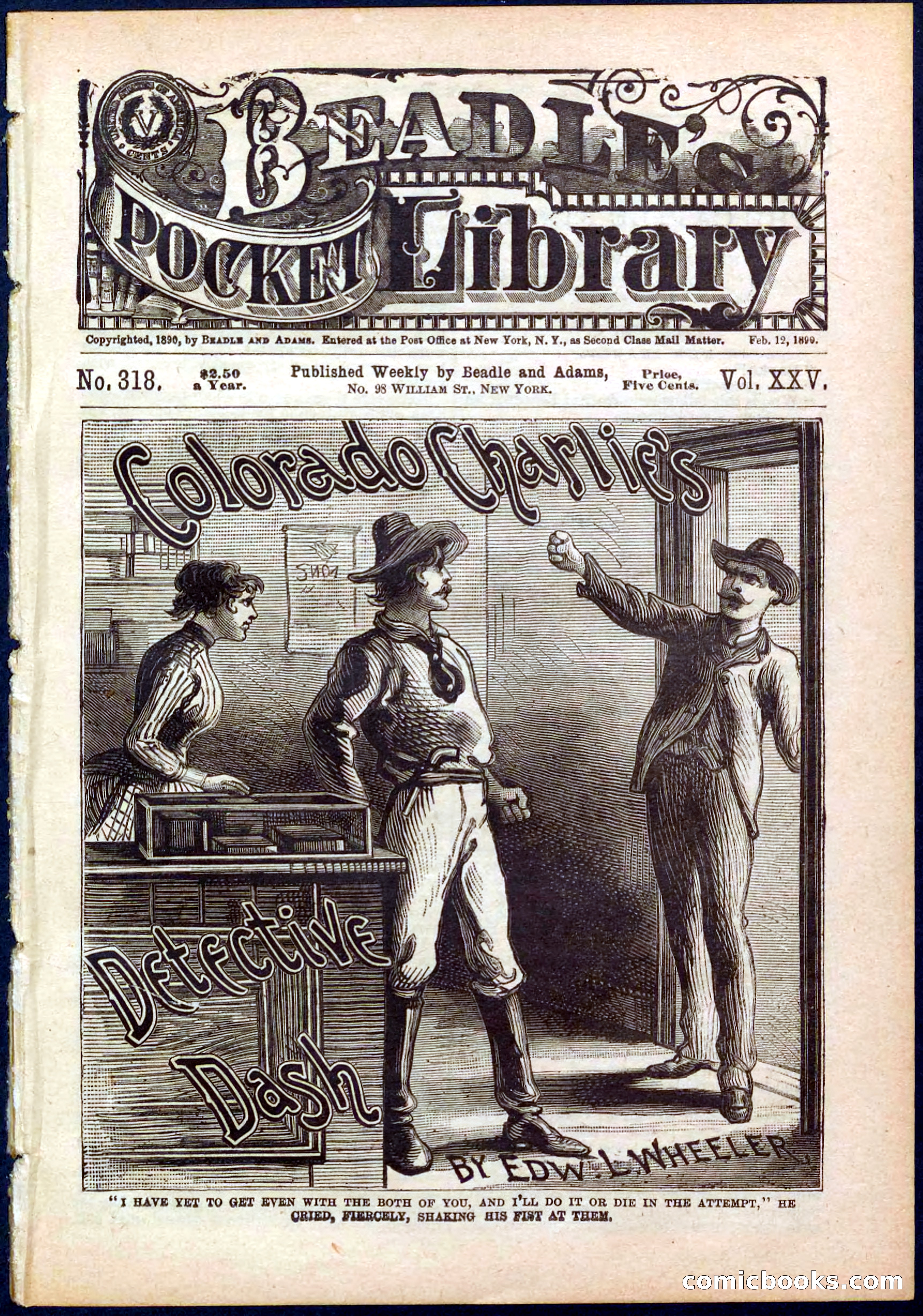 Beadle's Pocket Library No. 318 — page 1 of 32