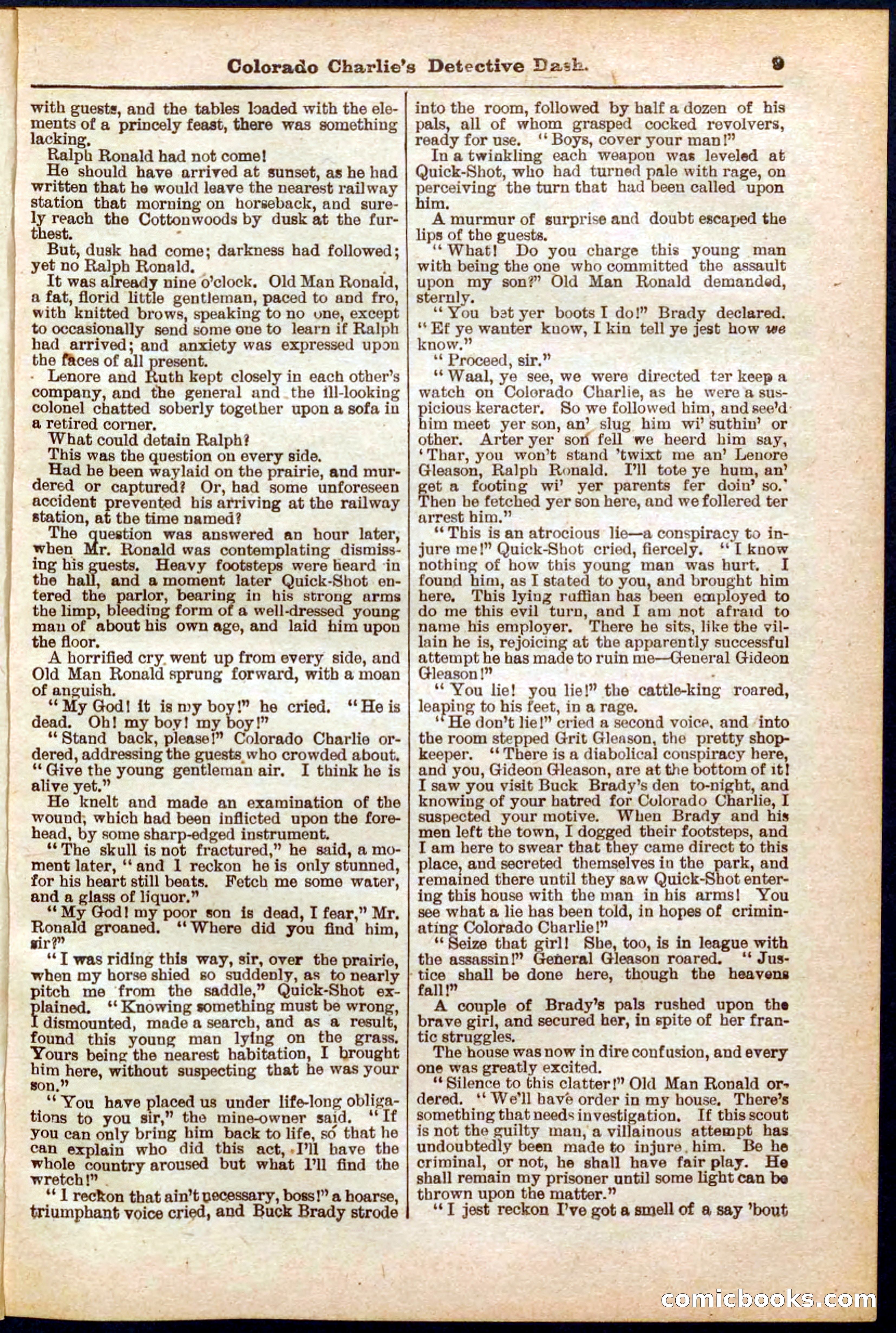 Beadle's Pocket Library No. 318 — page 9 of 32