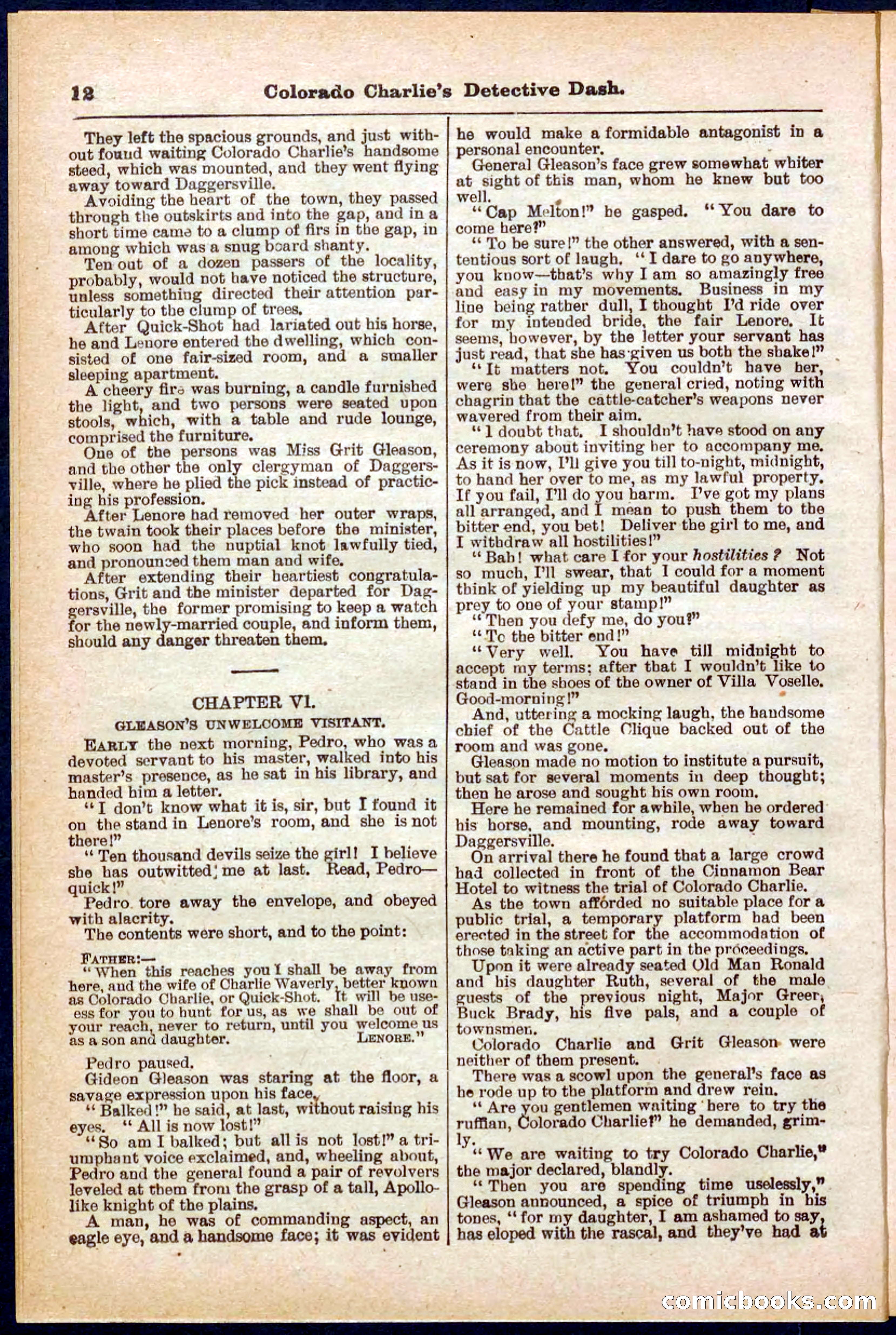 Beadle's Pocket Library No. 318 — page 12 of 32