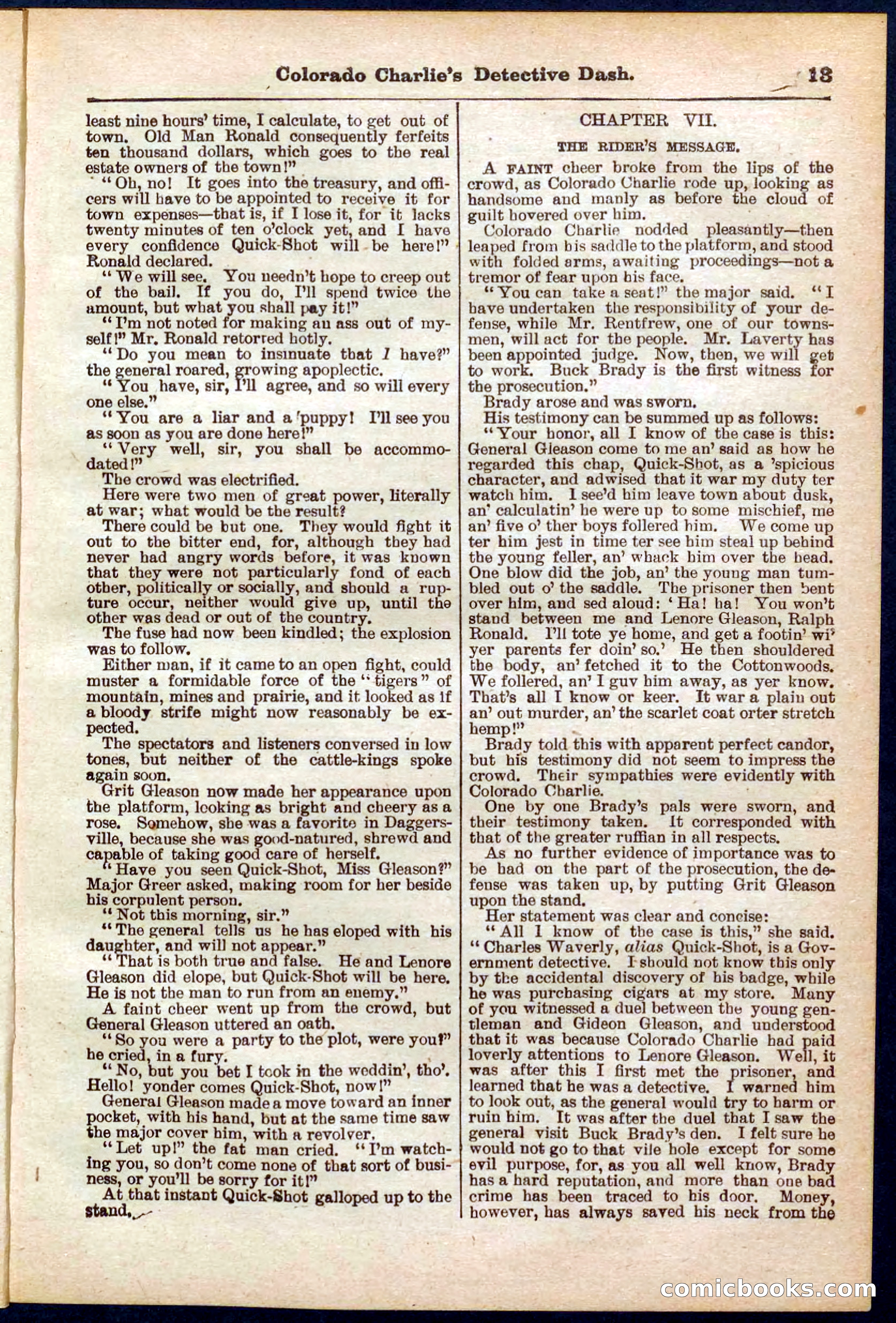 Beadle's Pocket Library No. 318 — page 13 of 32