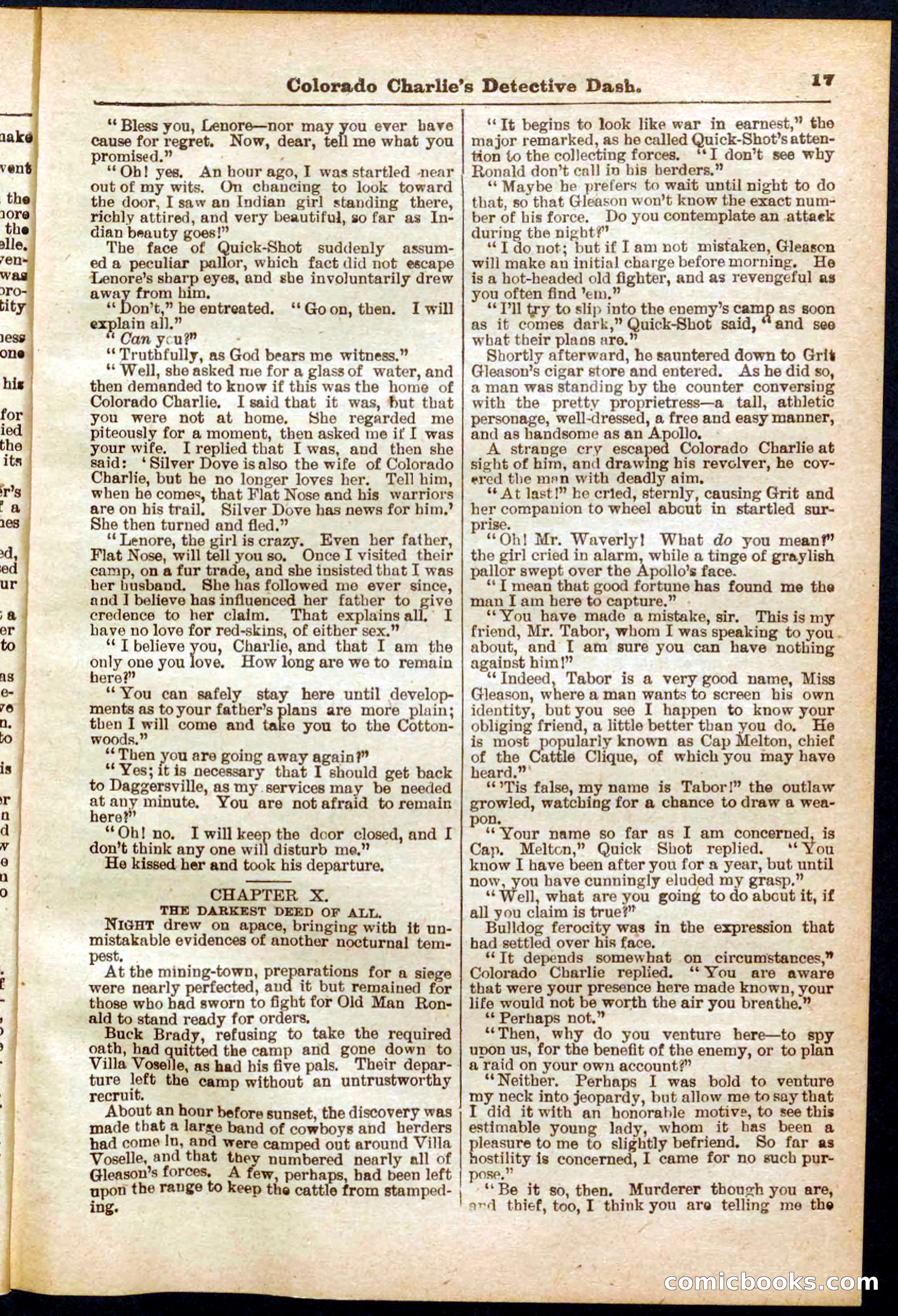Beadle's Pocket Library No. 318 — page 17 of 32