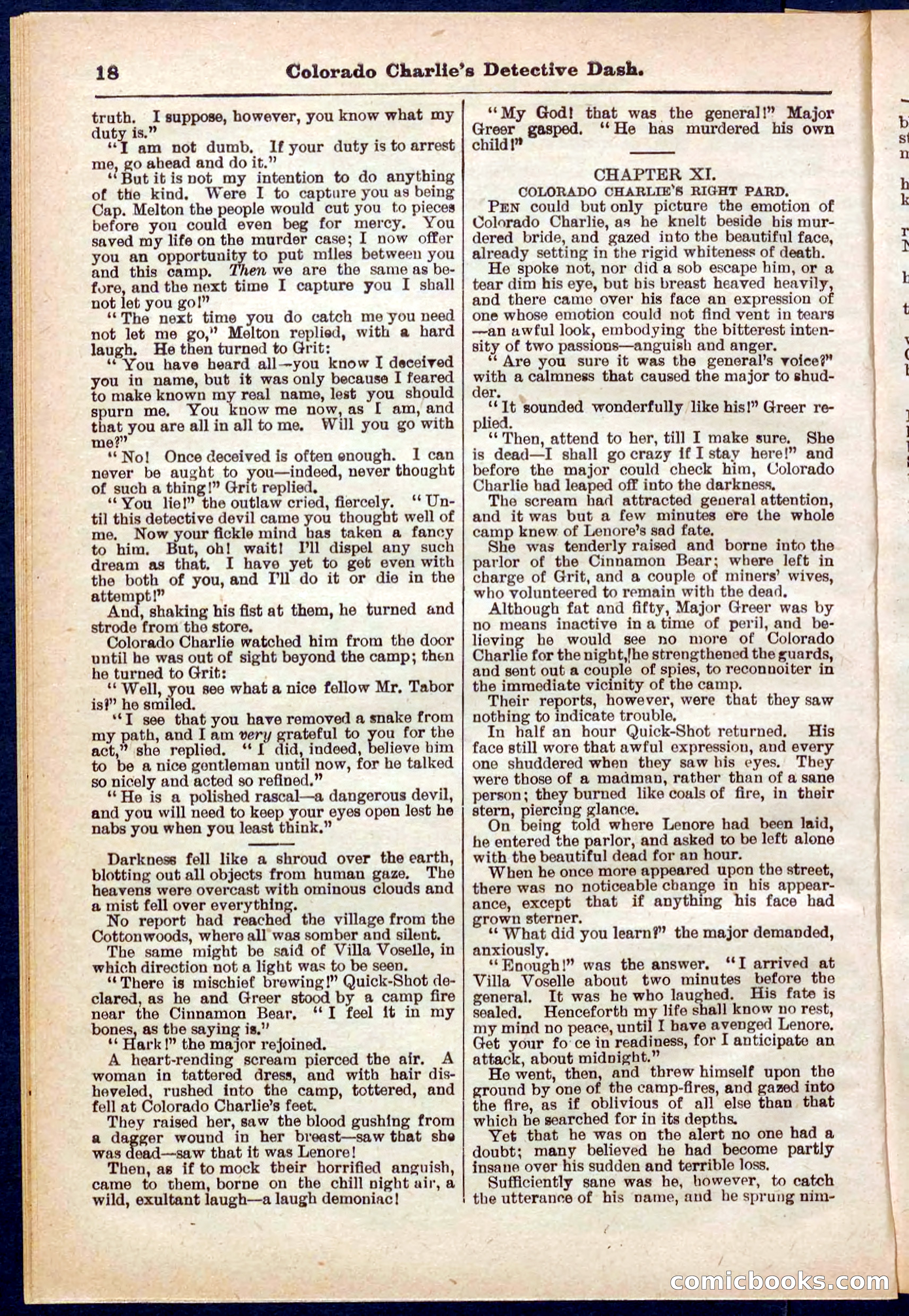 Beadle's Pocket Library No. 318 — page 18 of 32