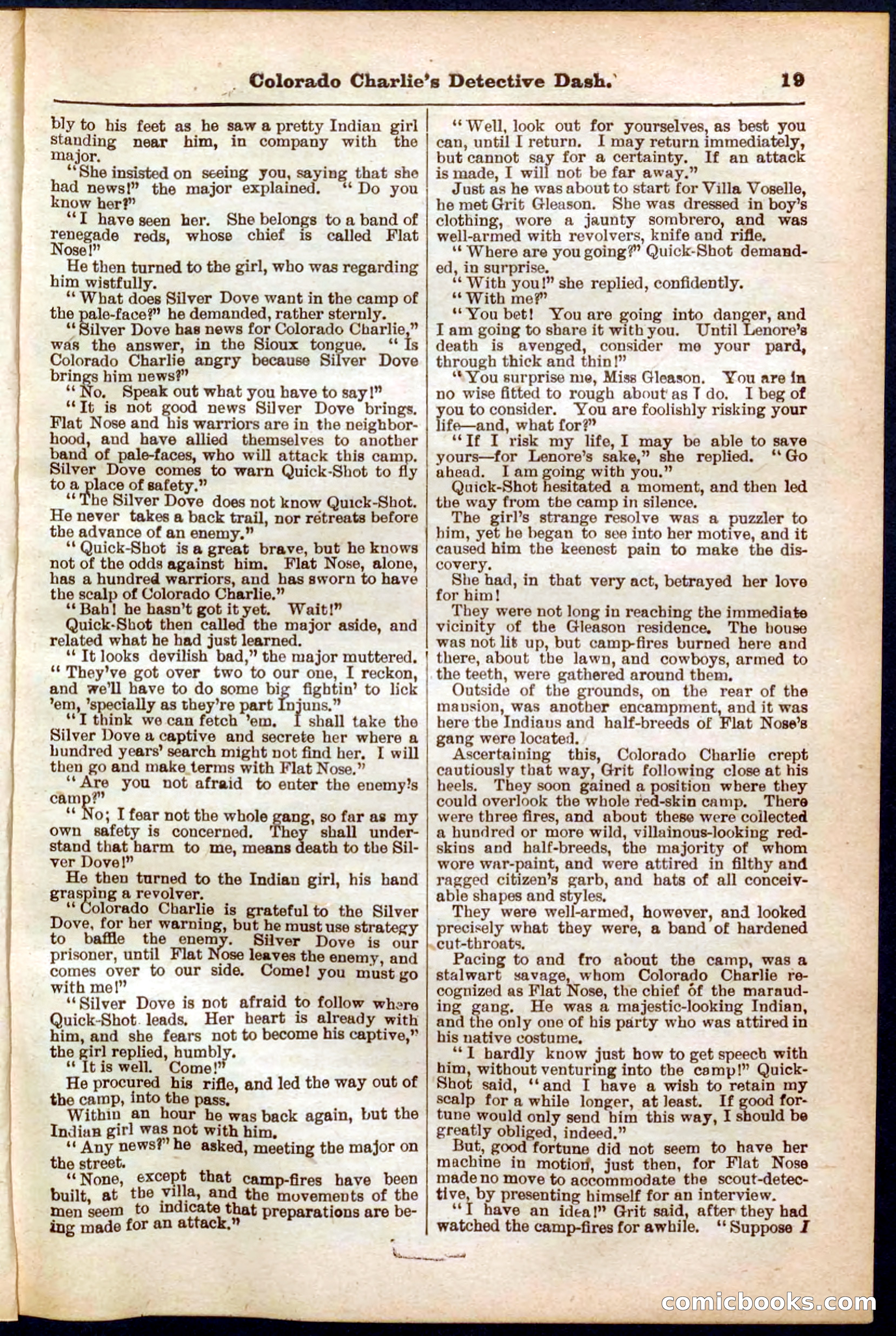 Beadle's Pocket Library No. 318 — page 19 of 32