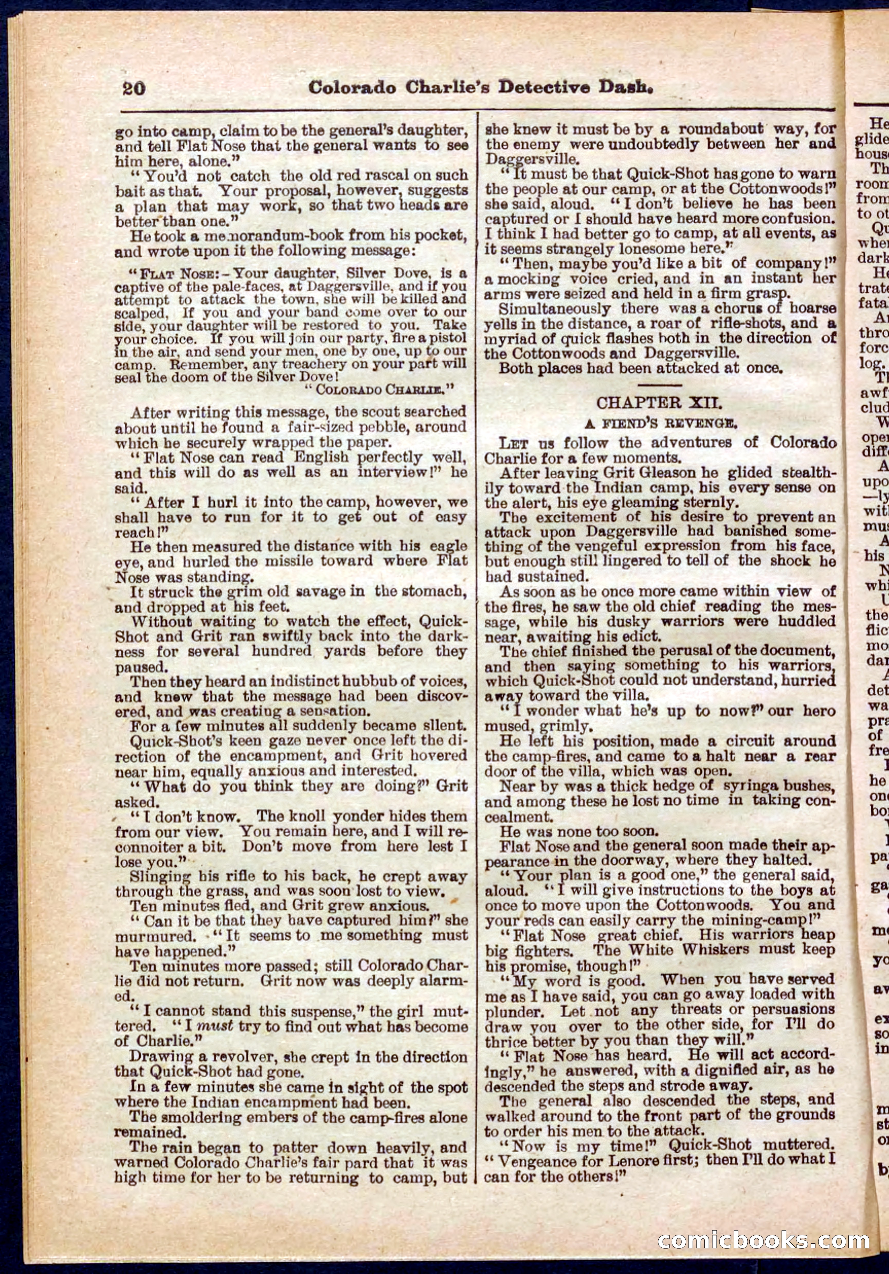 Beadle's Pocket Library No. 318 — page 20 of 32
