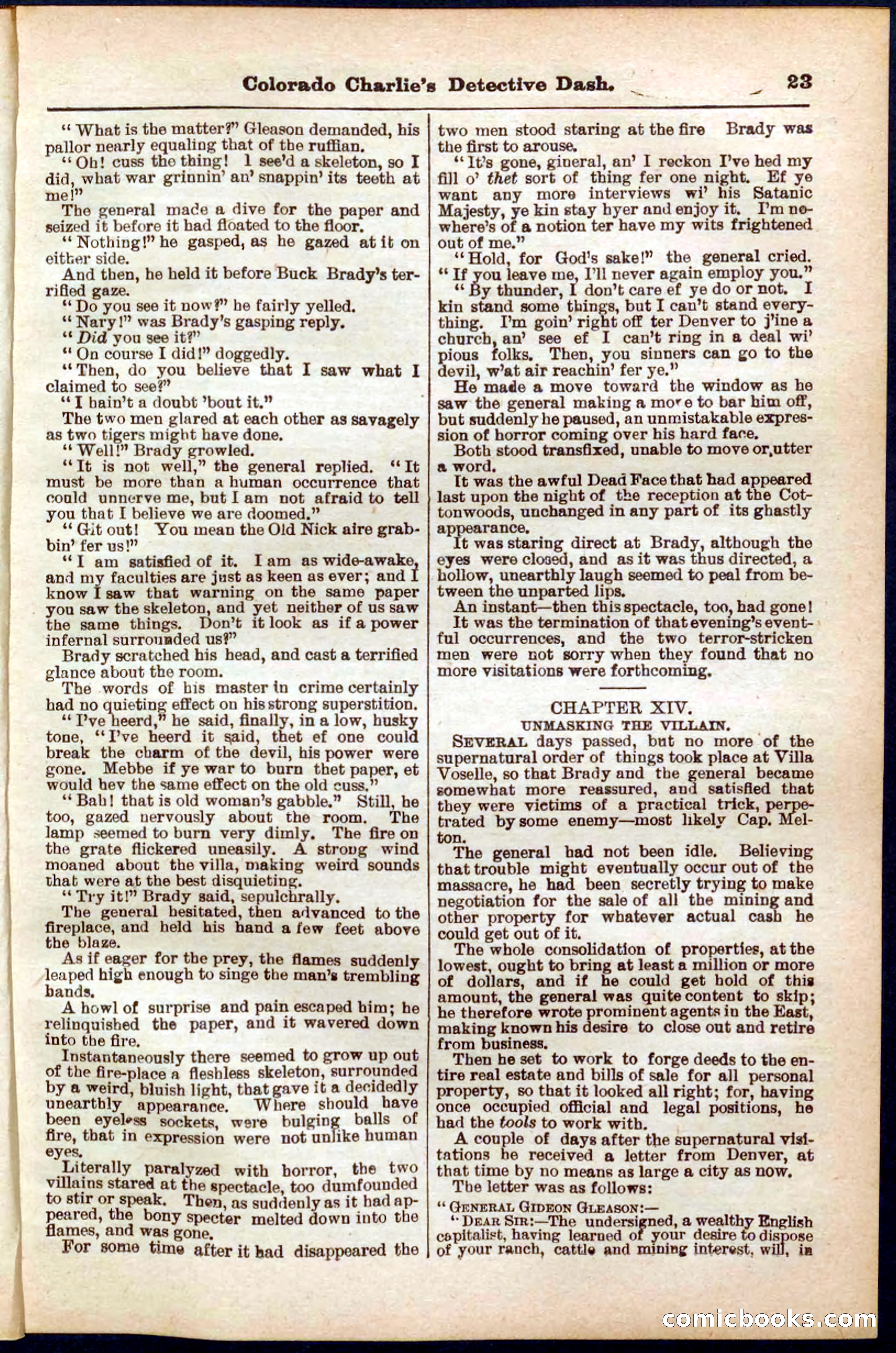 Beadle's Pocket Library No. 318 — page 23 of 32