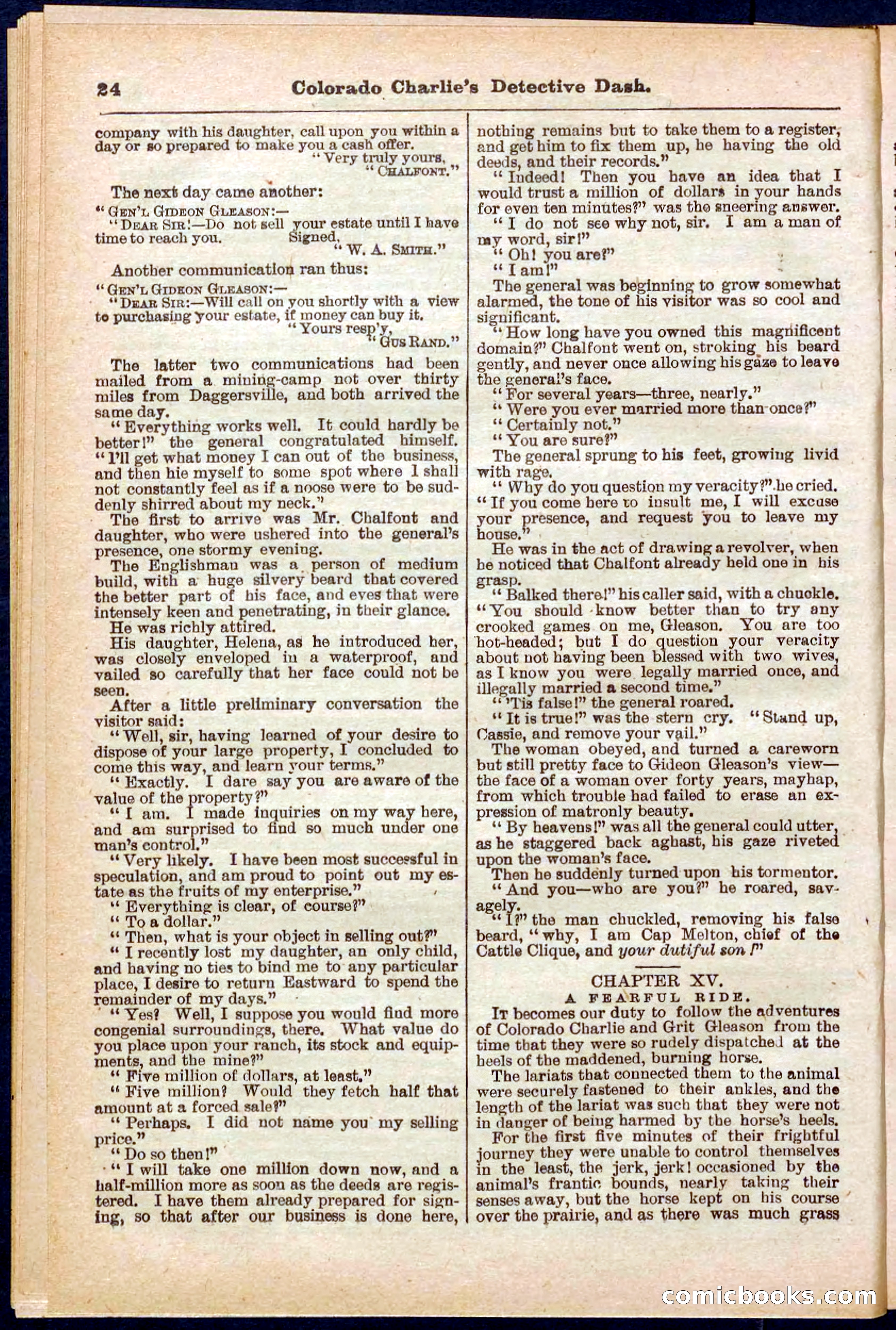 Beadle's Pocket Library No. 318 — page 24 of 32