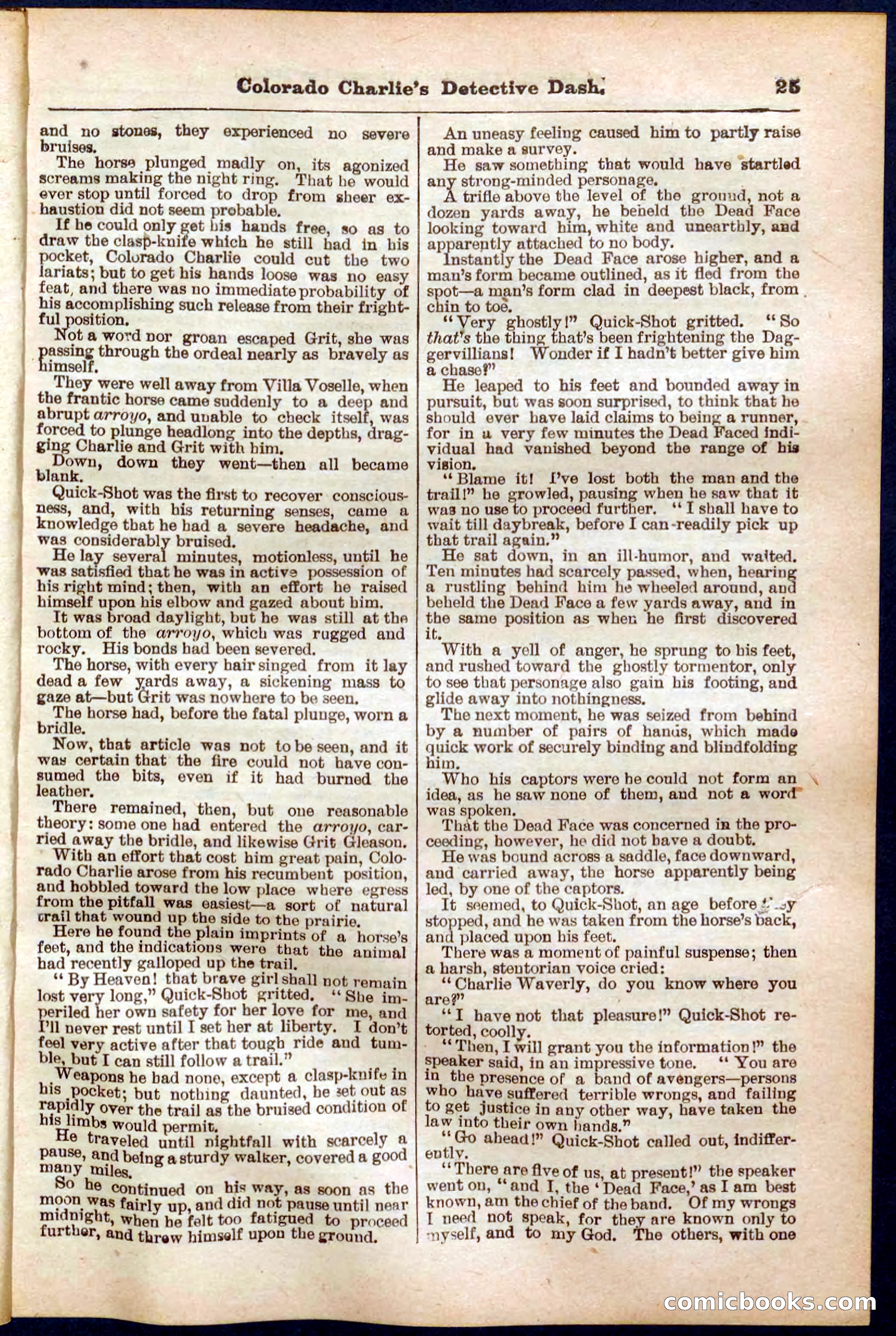 Beadle's Pocket Library No. 318 — page 25 of 32