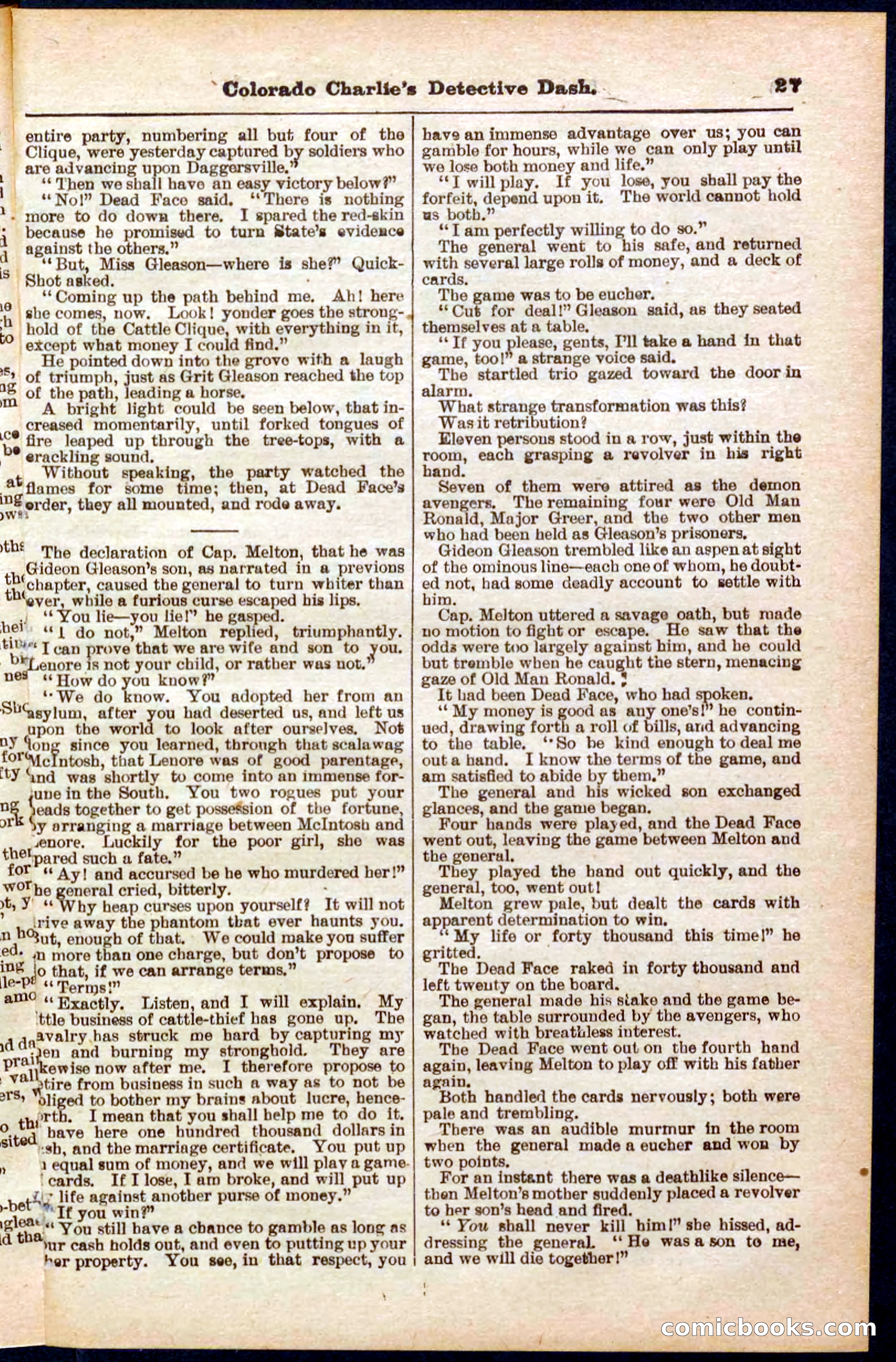 Beadle's Pocket Library No. 318 — page 27 of 32