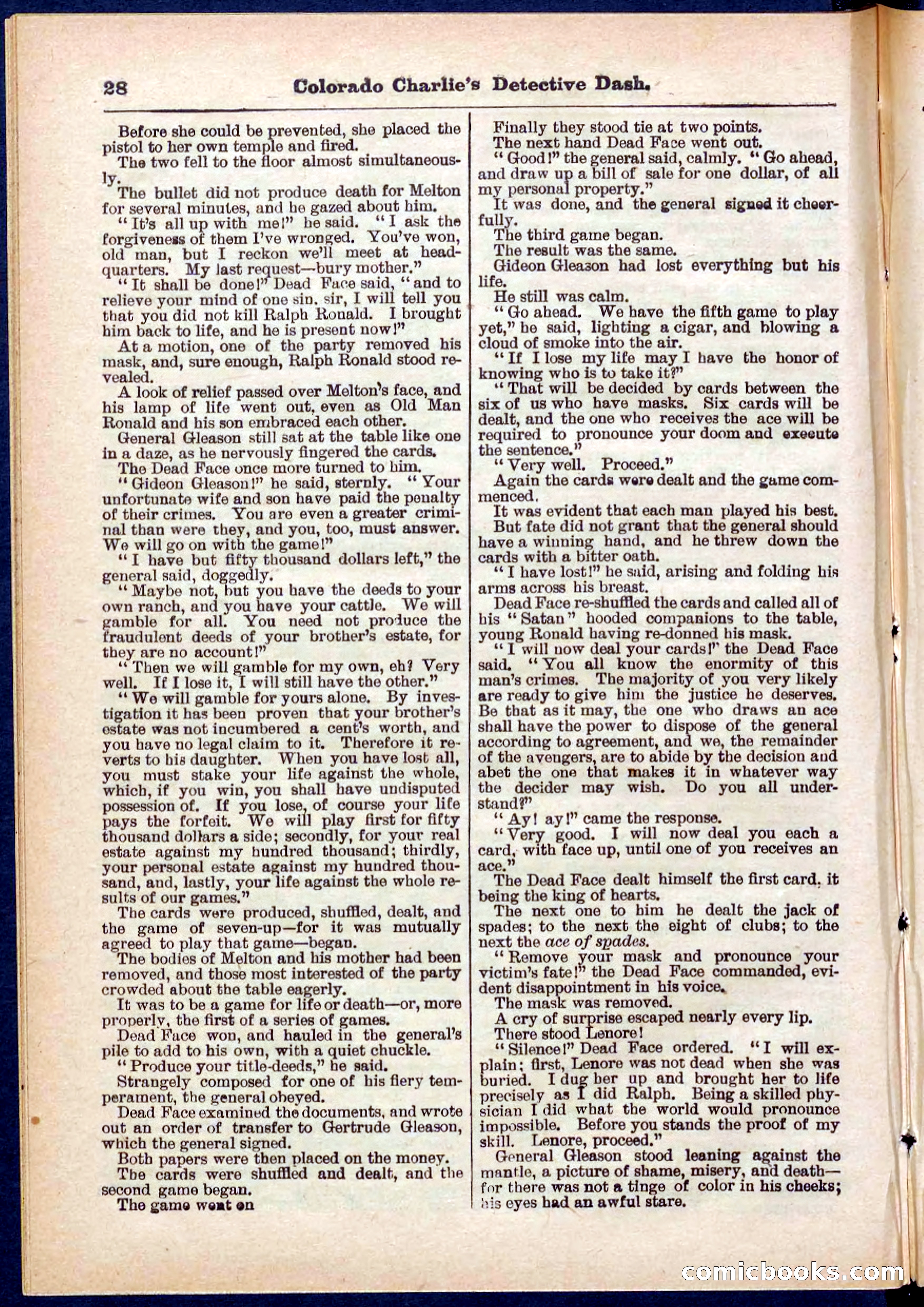 Beadle's Pocket Library No. 318 — page 28 of 32