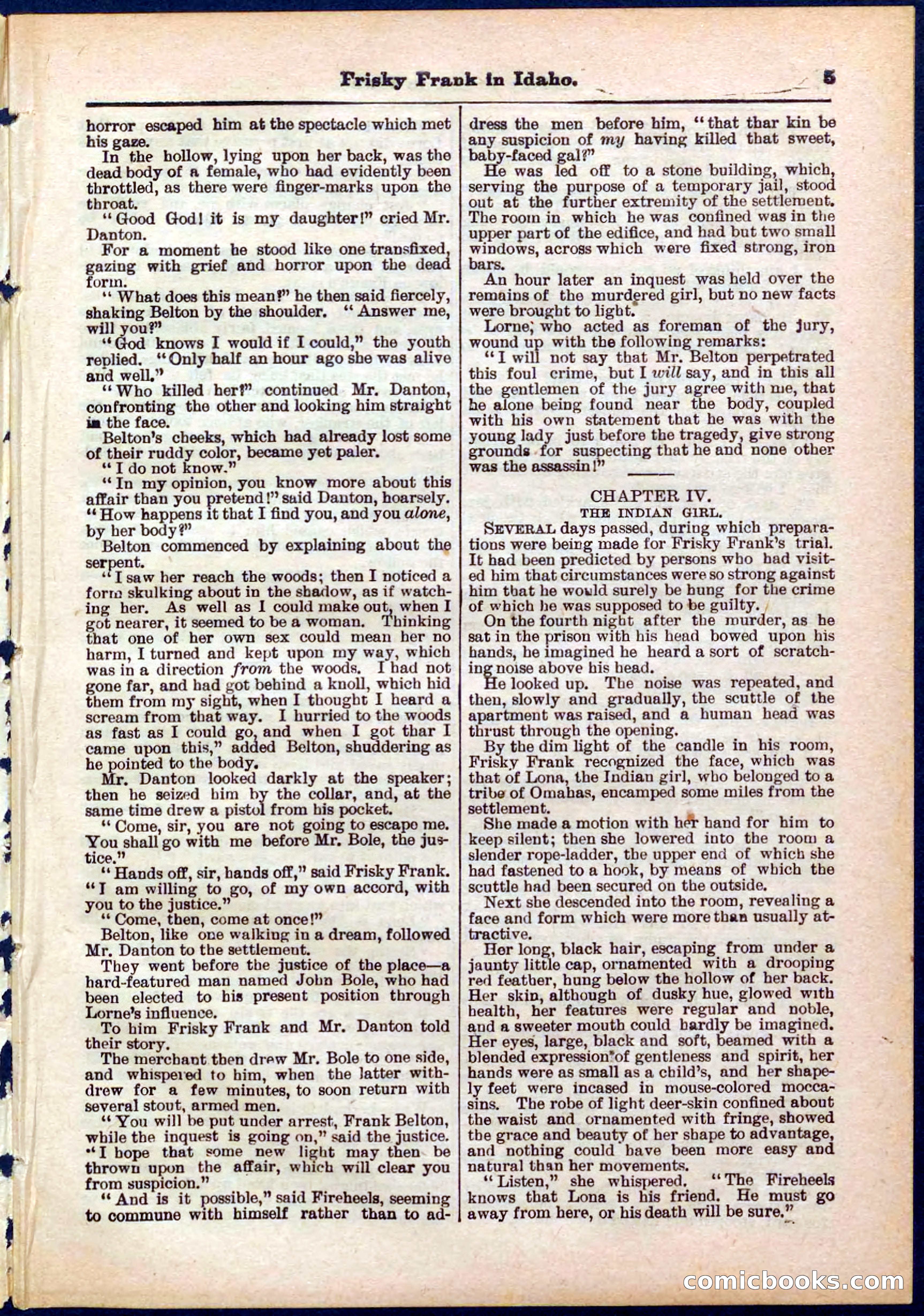 Beadle's Pocket Library No. 319 — page 5 of 32