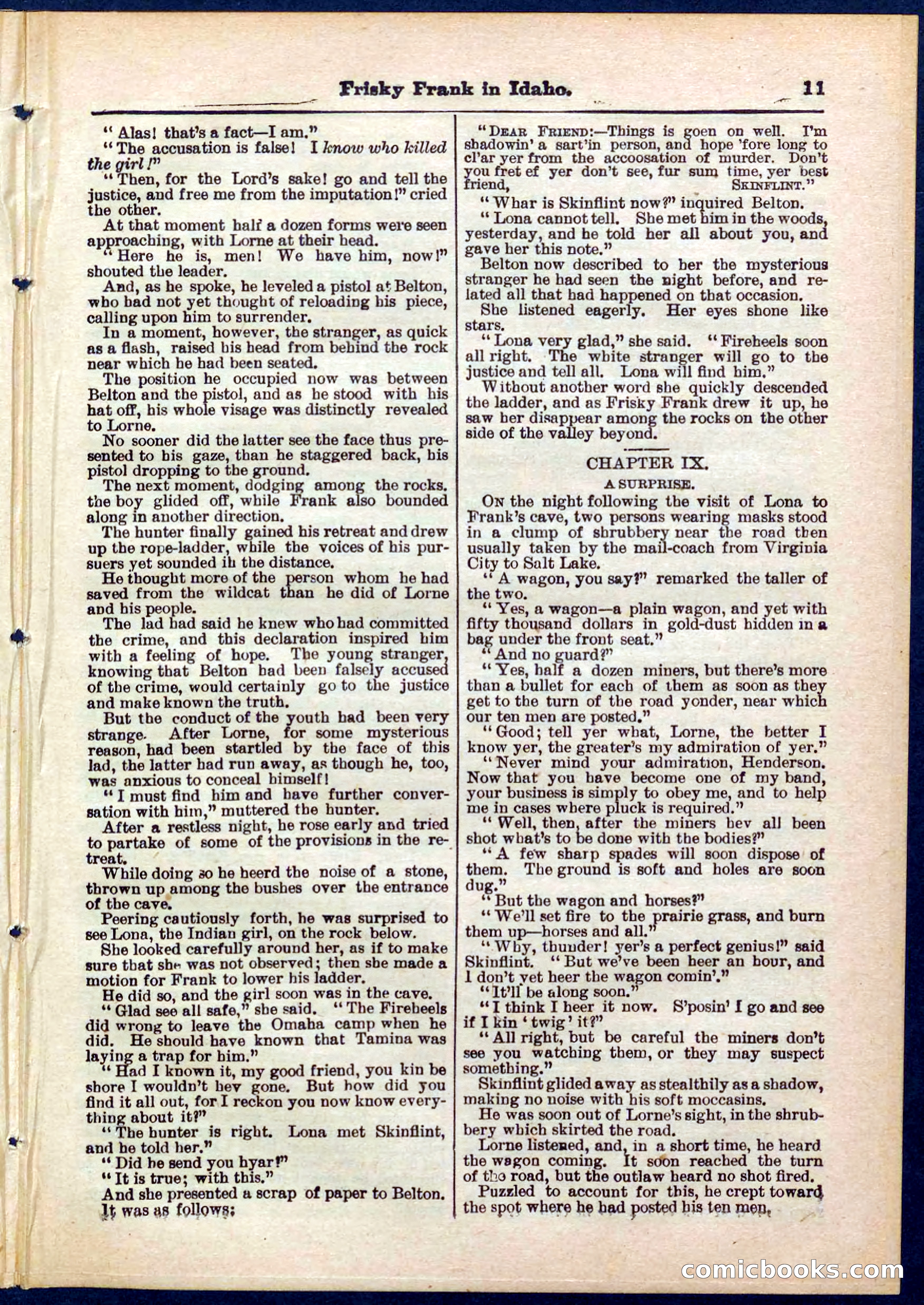 Beadle's Pocket Library No. 319 — page 11 of 32