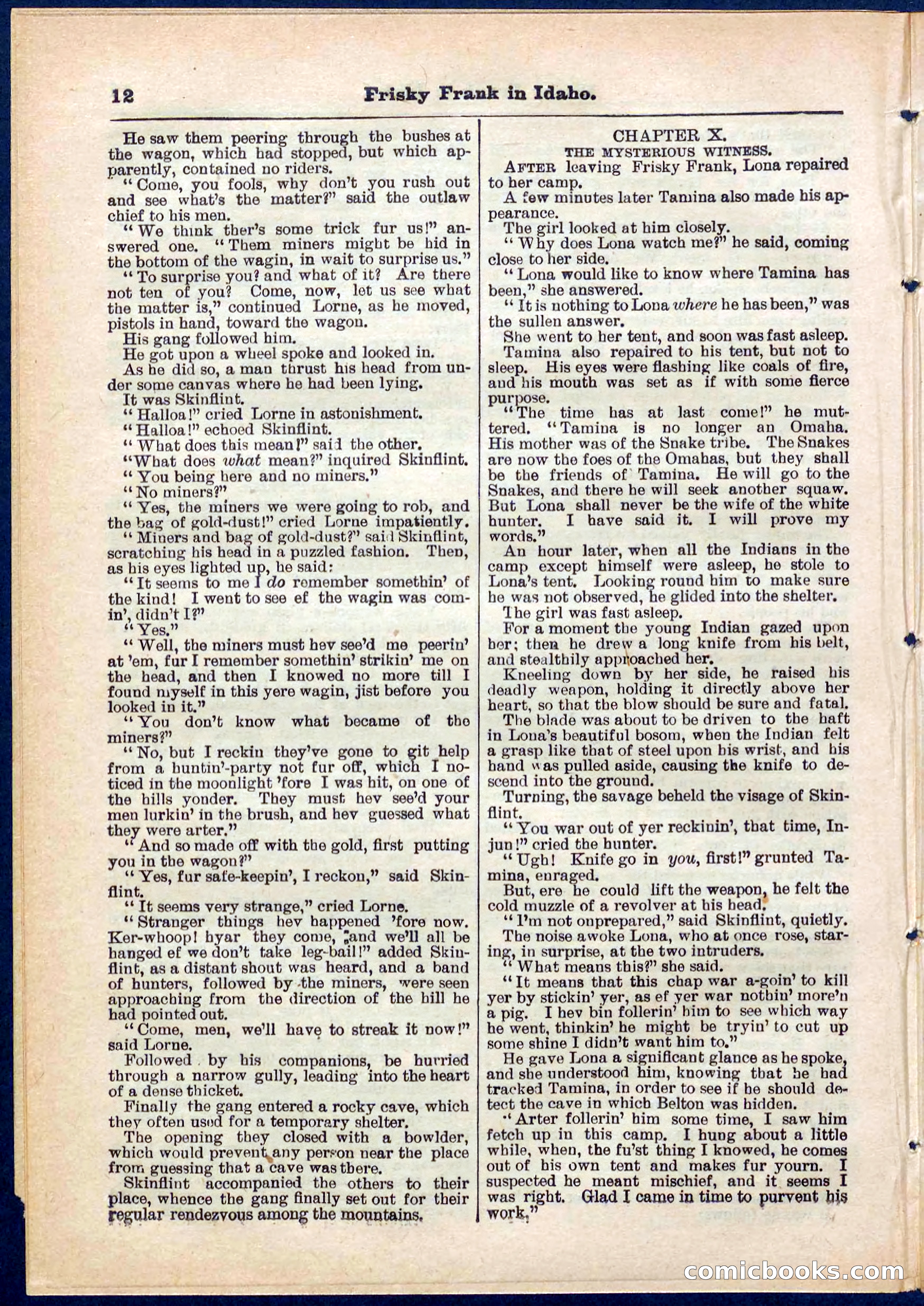 Beadle's Pocket Library No. 319 — page 12 of 32