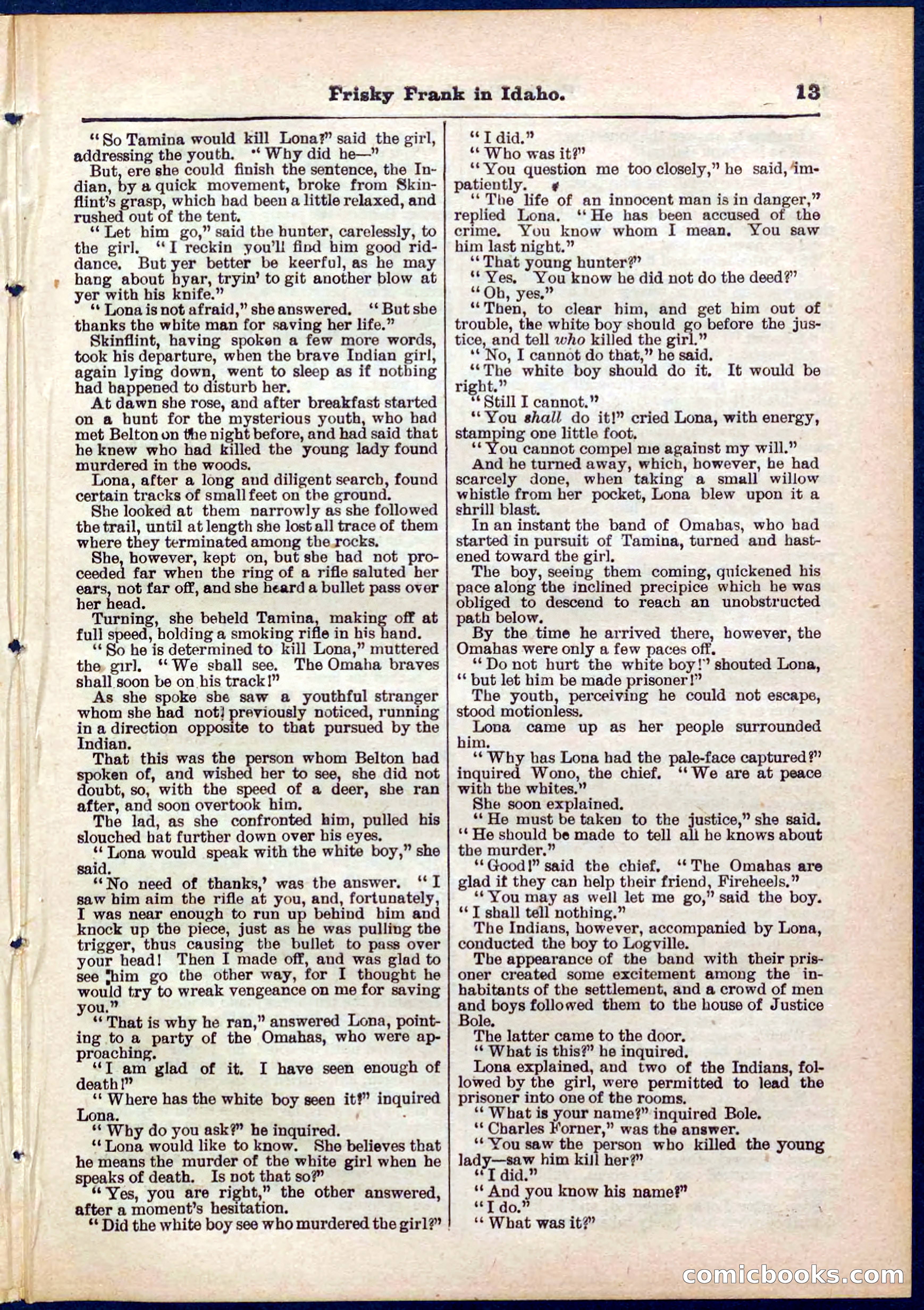 Beadle's Pocket Library No. 319 — page 13 of 32