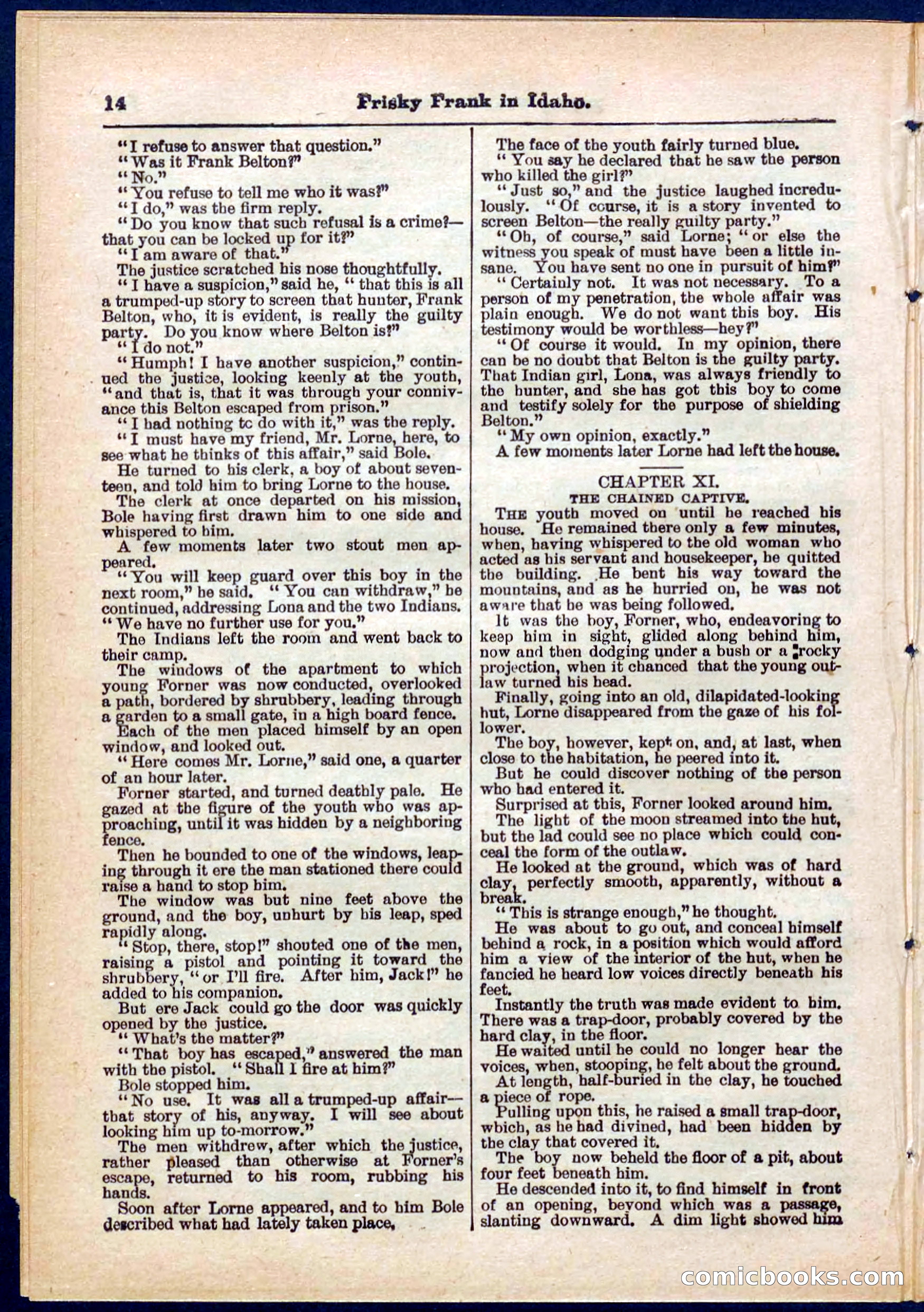 Beadle's Pocket Library No. 319 — page 14 of 32