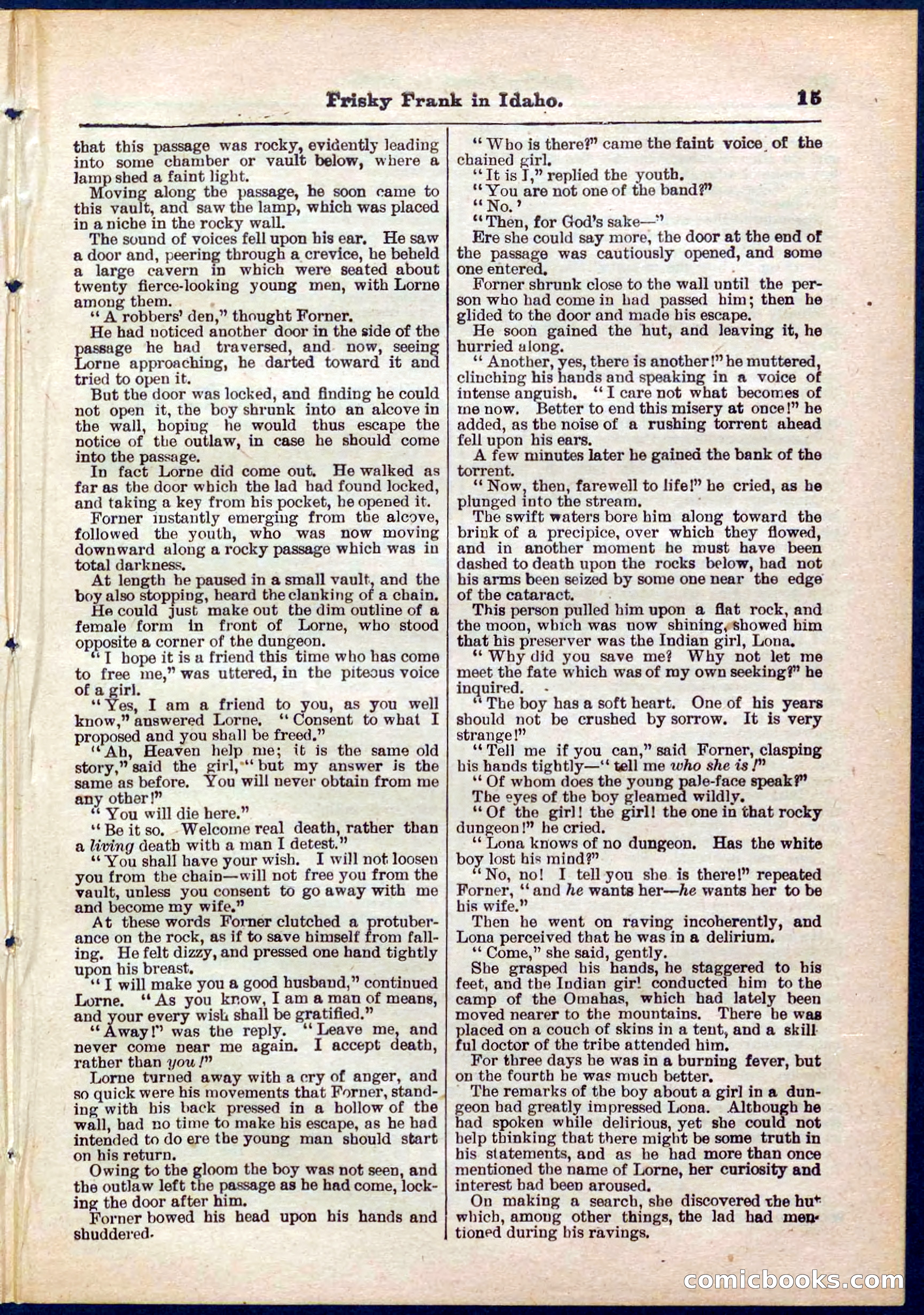 Beadle's Pocket Library No. 319 — page 15 of 32