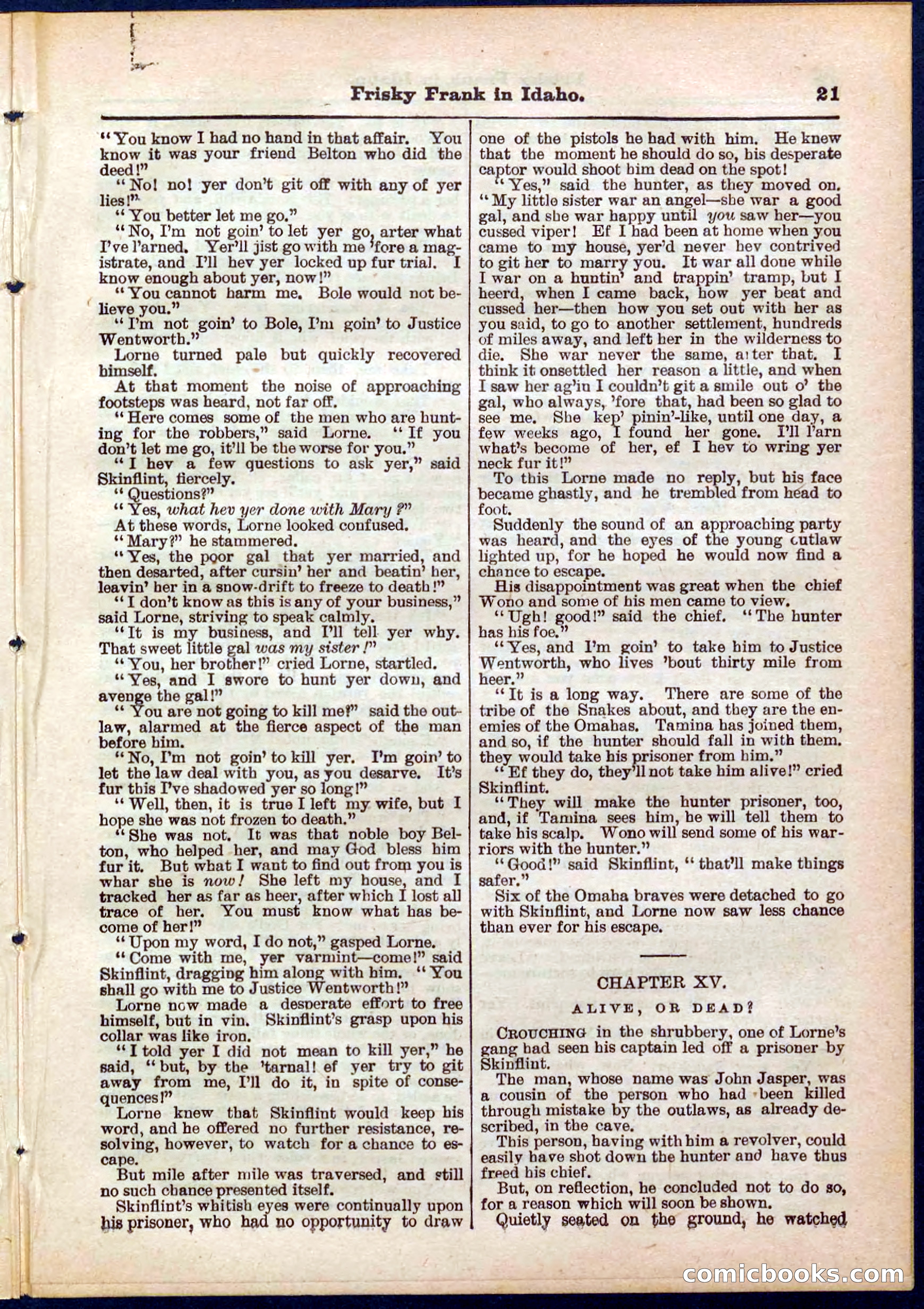 Beadle's Pocket Library No. 319 — page 21 of 32
