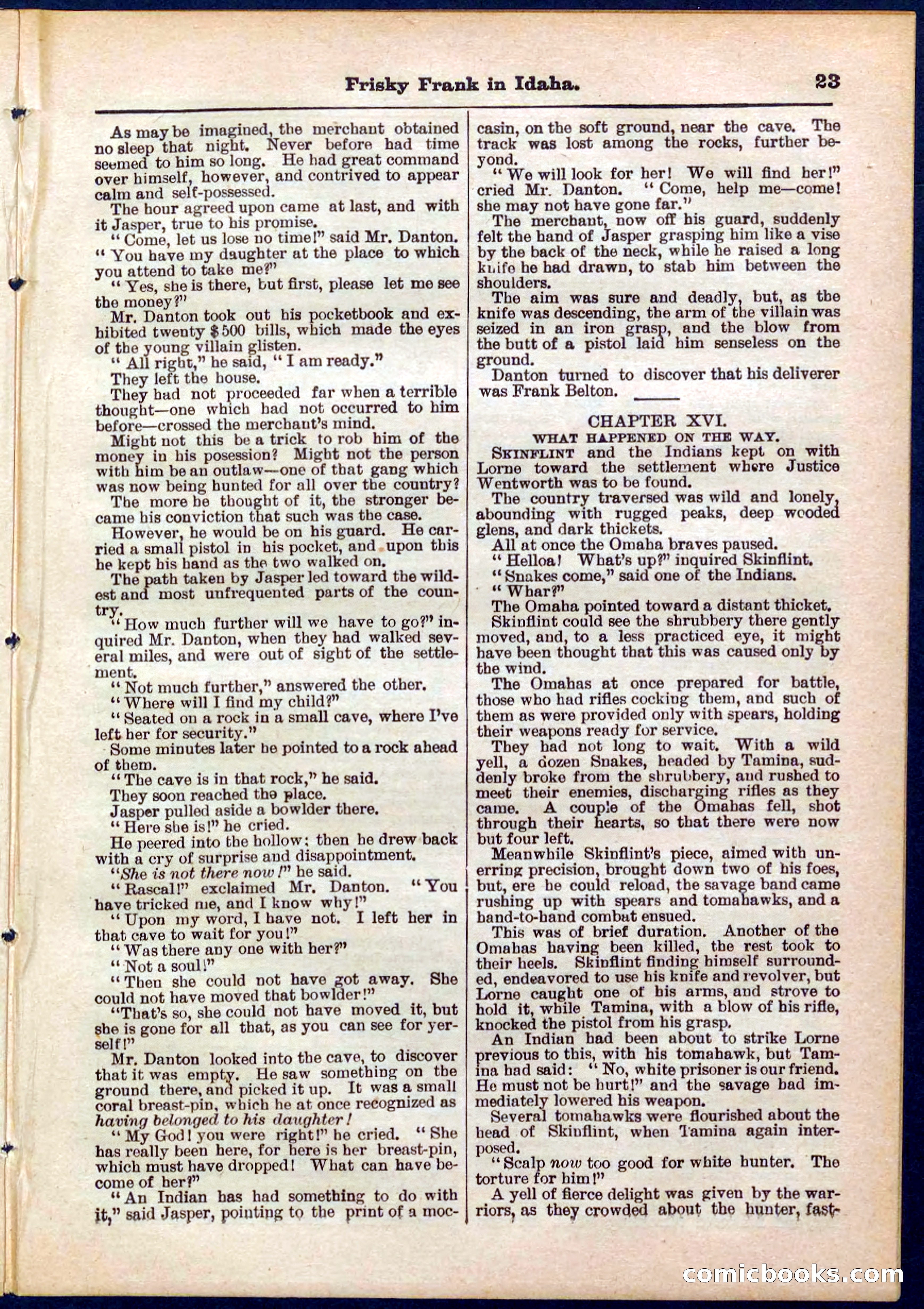 Beadle's Pocket Library No. 319 — page 23 of 32