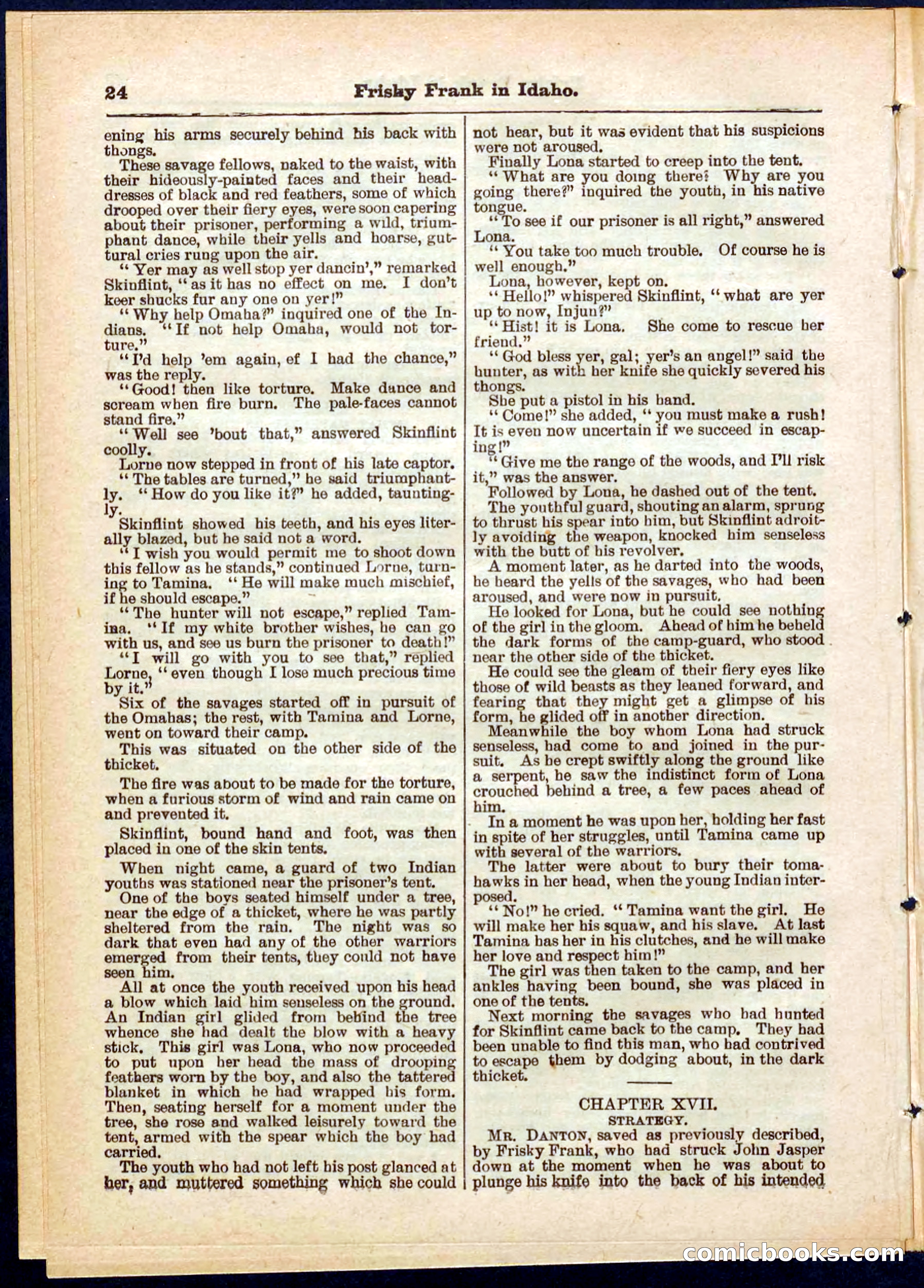 Beadle's Pocket Library No. 319 — page 24 of 32