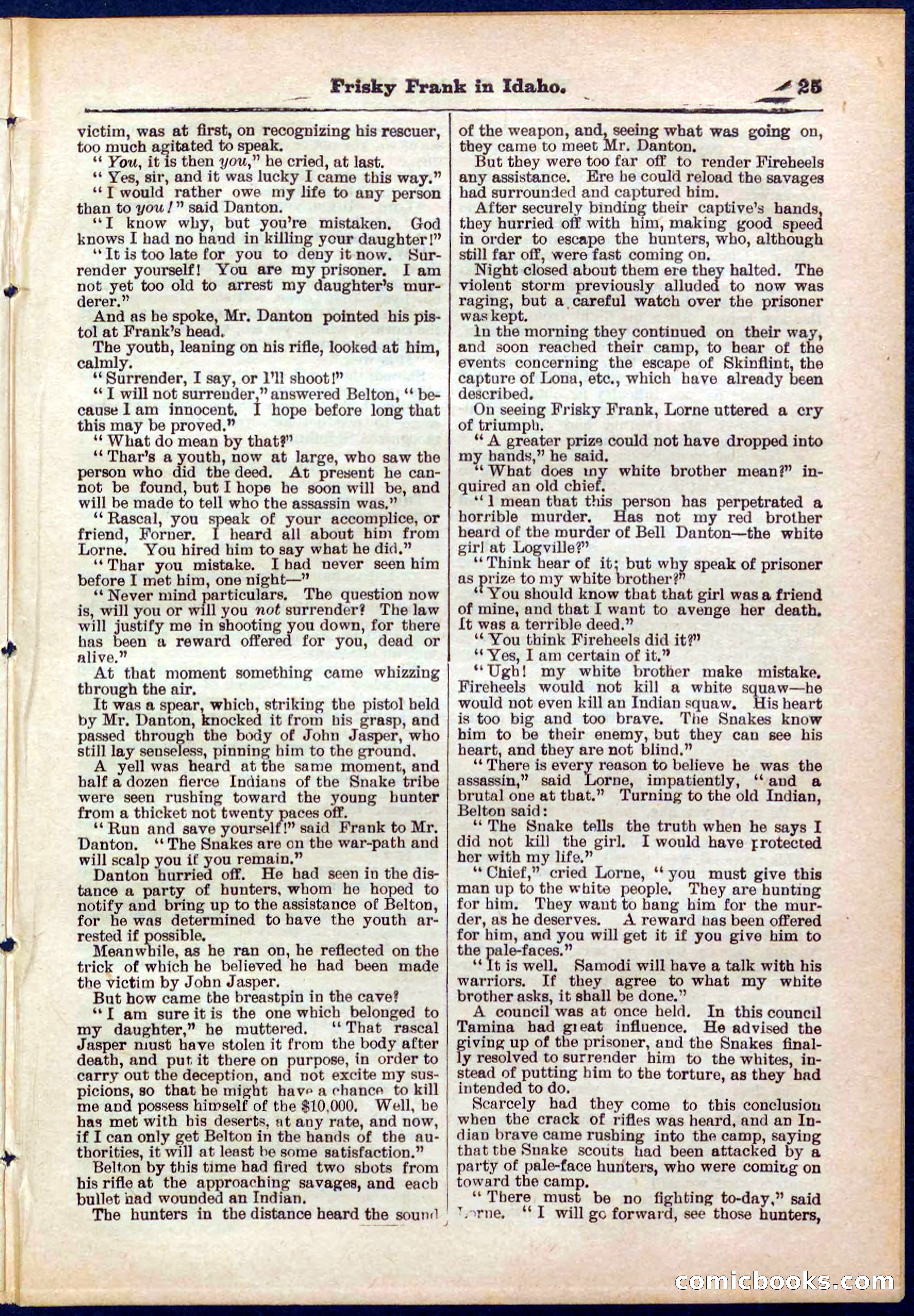 Beadle's Pocket Library No. 319 — page 25 of 32