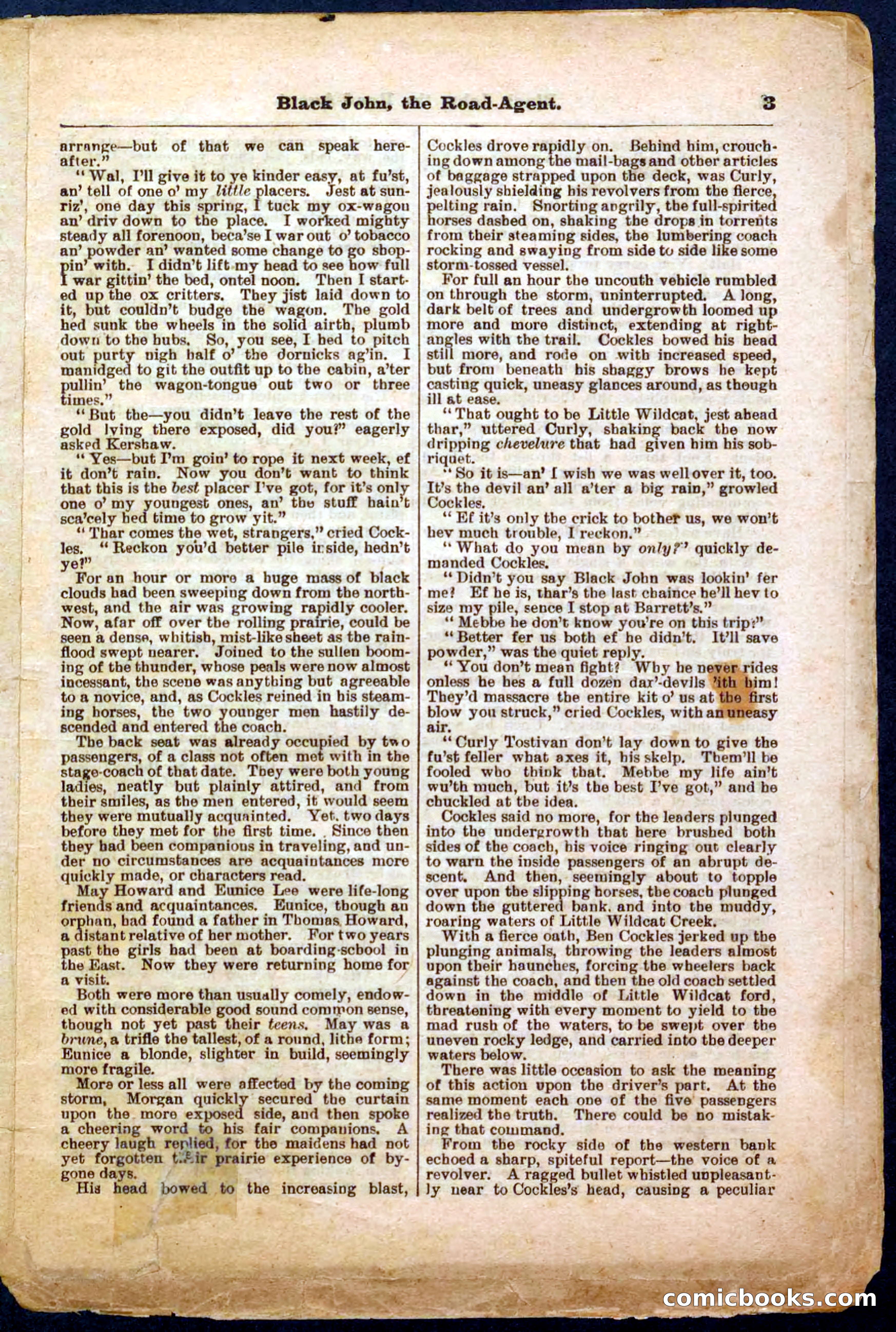 Beadle's Pocket Library, Vol. III, No. 32 — page 3 of 32