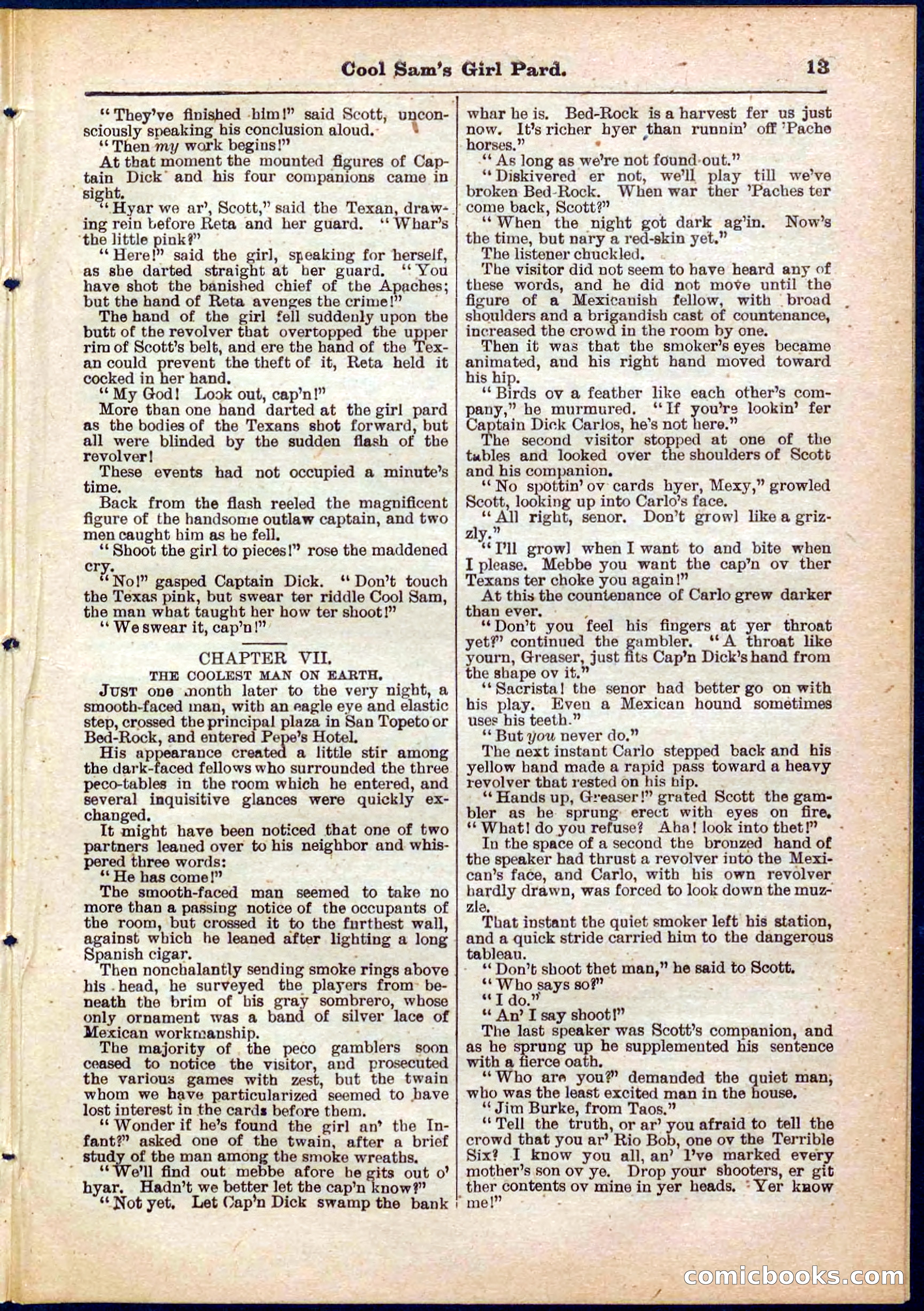 Beadle's Pocket Library No. 320 — page 13 of 32