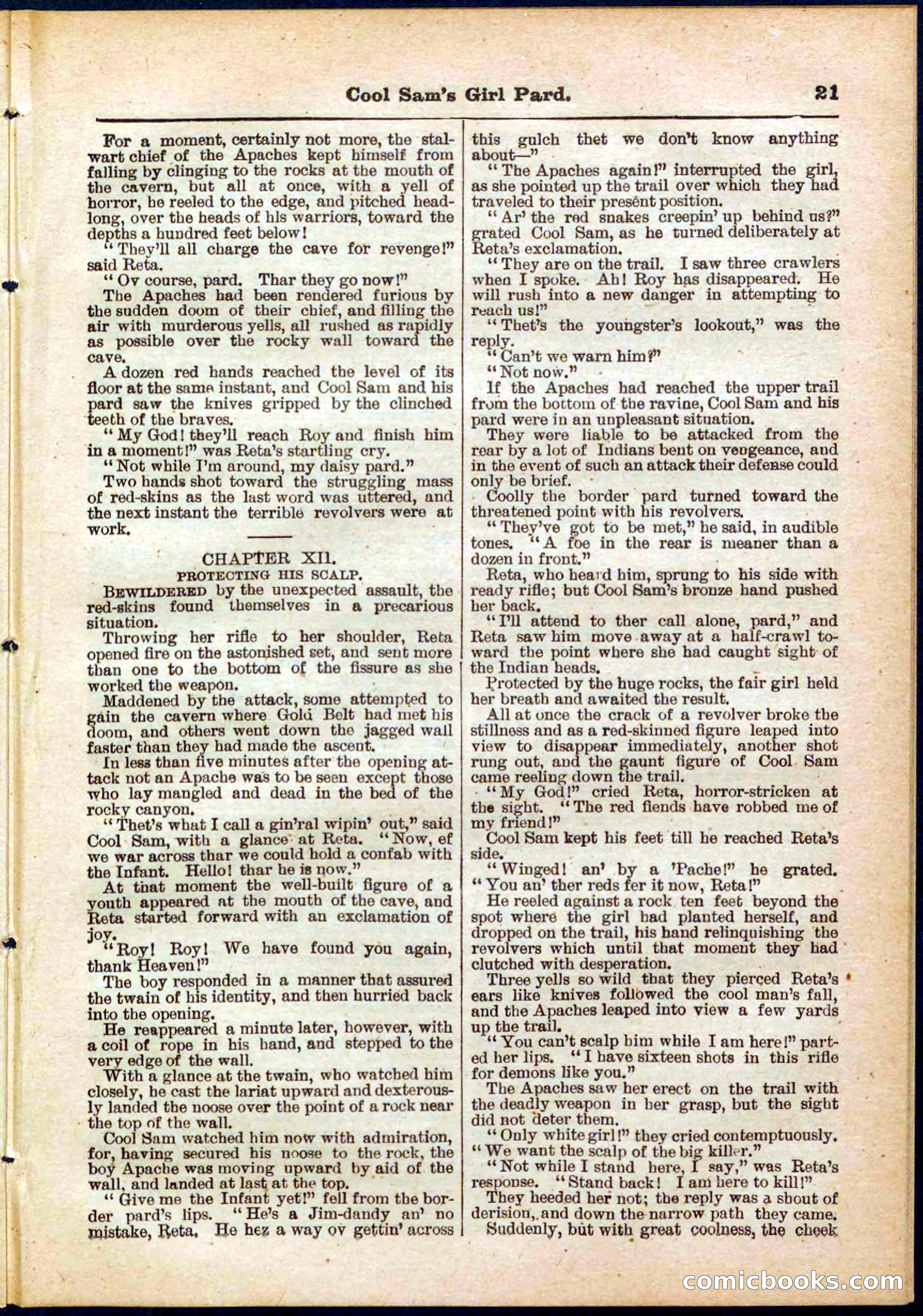 Beadle's Pocket Library No. 320 — page 21 of 32
