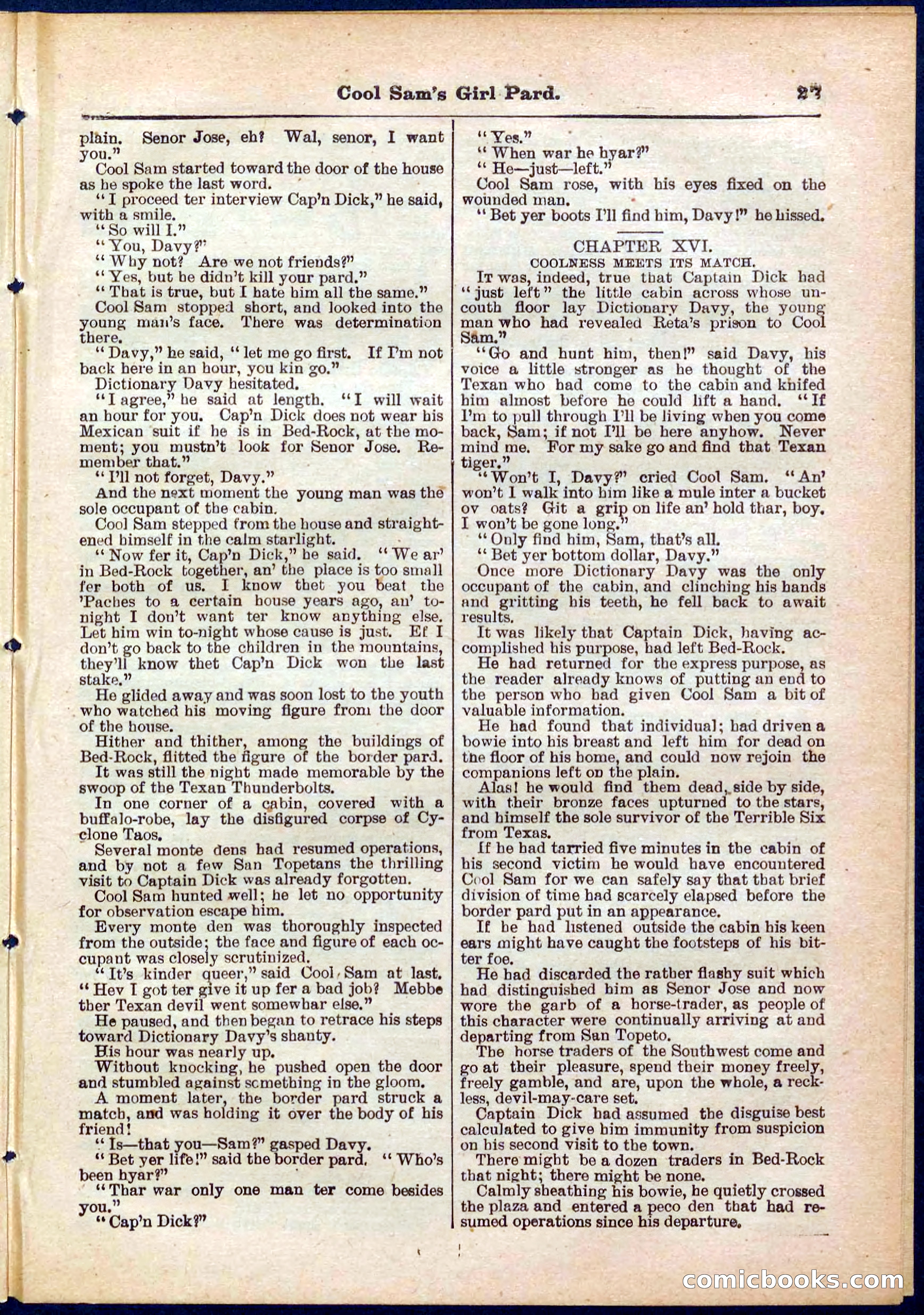 Beadle's Pocket Library No. 320 — page 27 of 32
