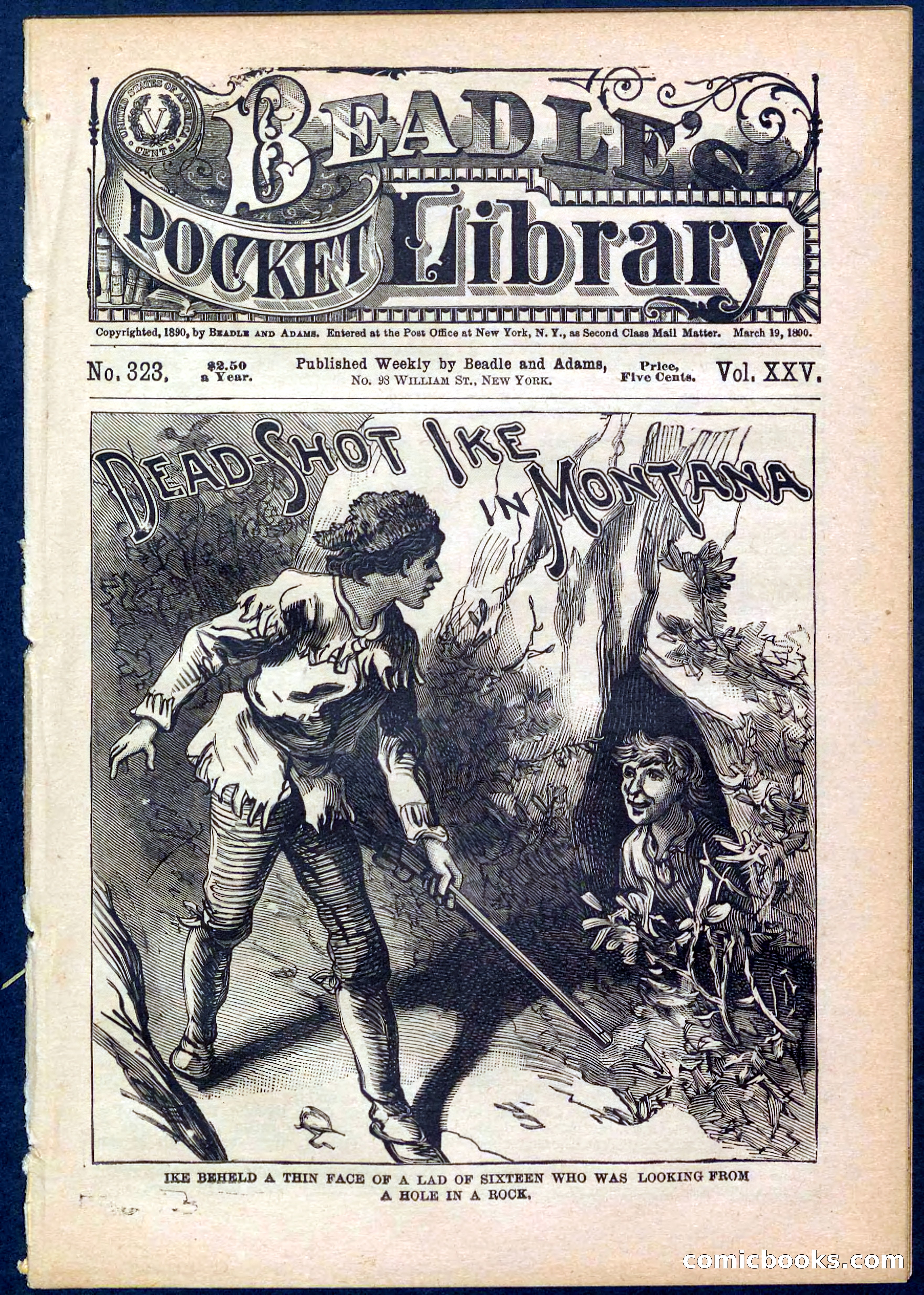 Beadle's Pocket Library No. 323 — page 1 of 32