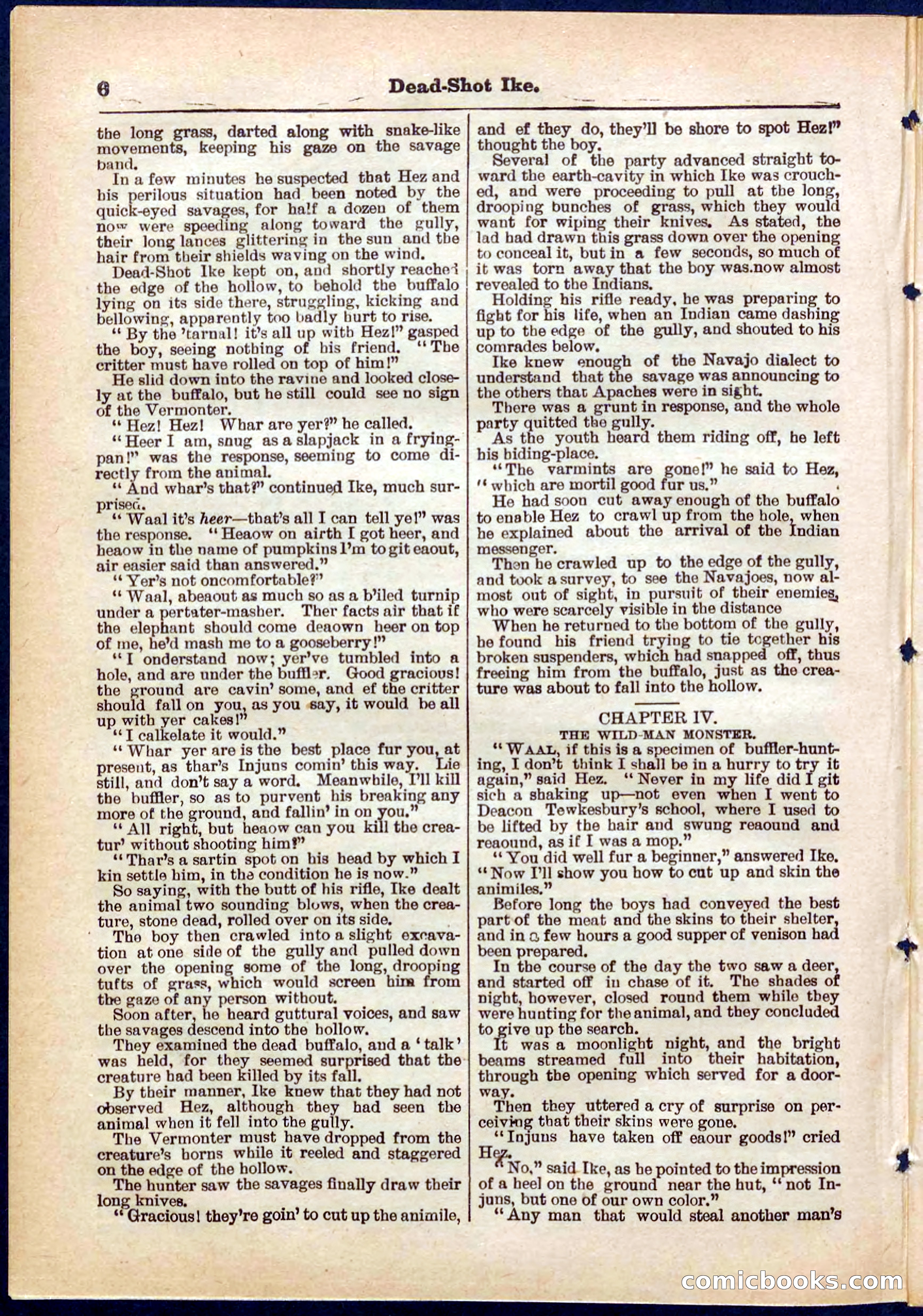Beadle's Pocket Library No. 323 — page 6 of 32