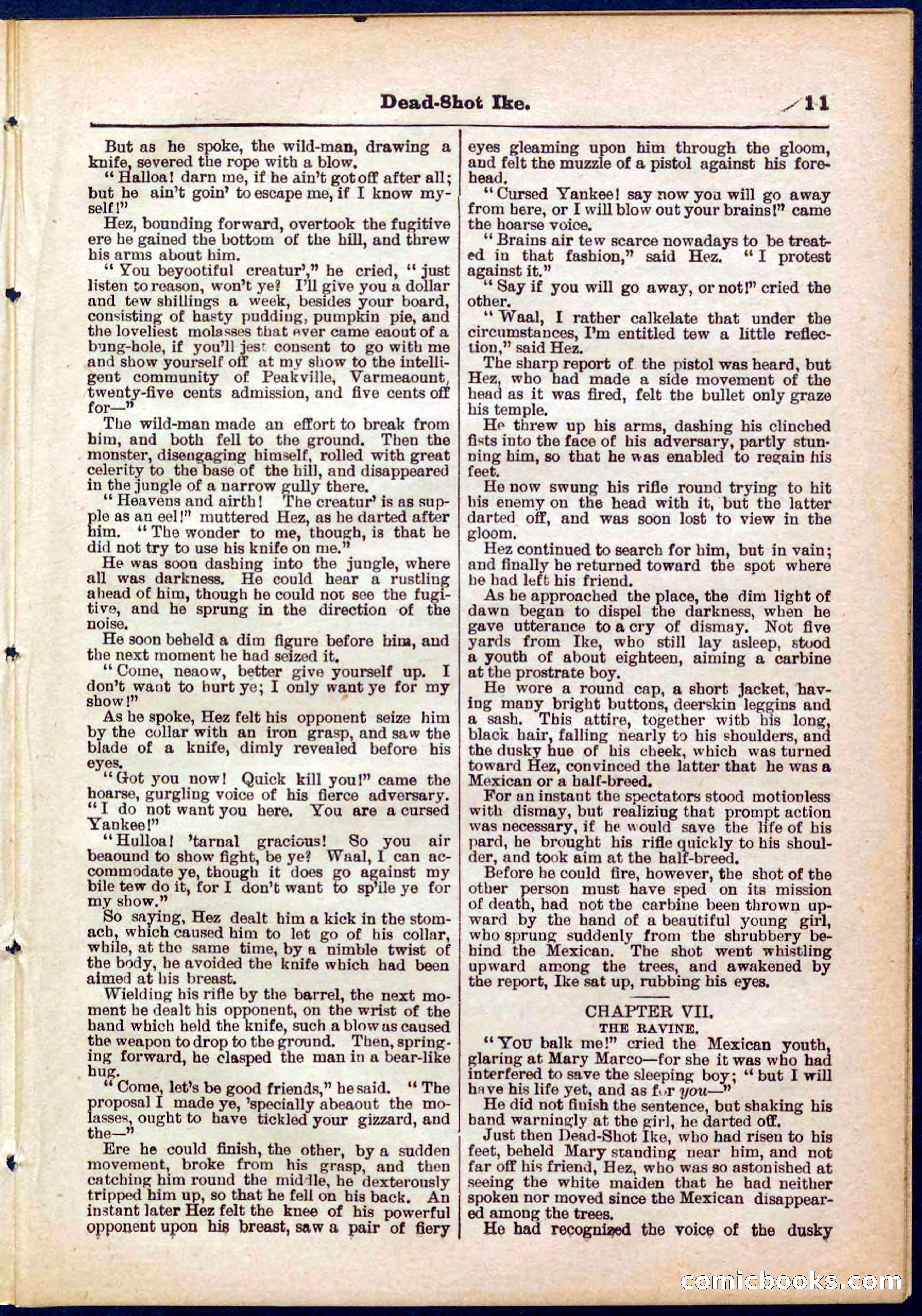 Beadle's Pocket Library No. 323 — page 11 of 32