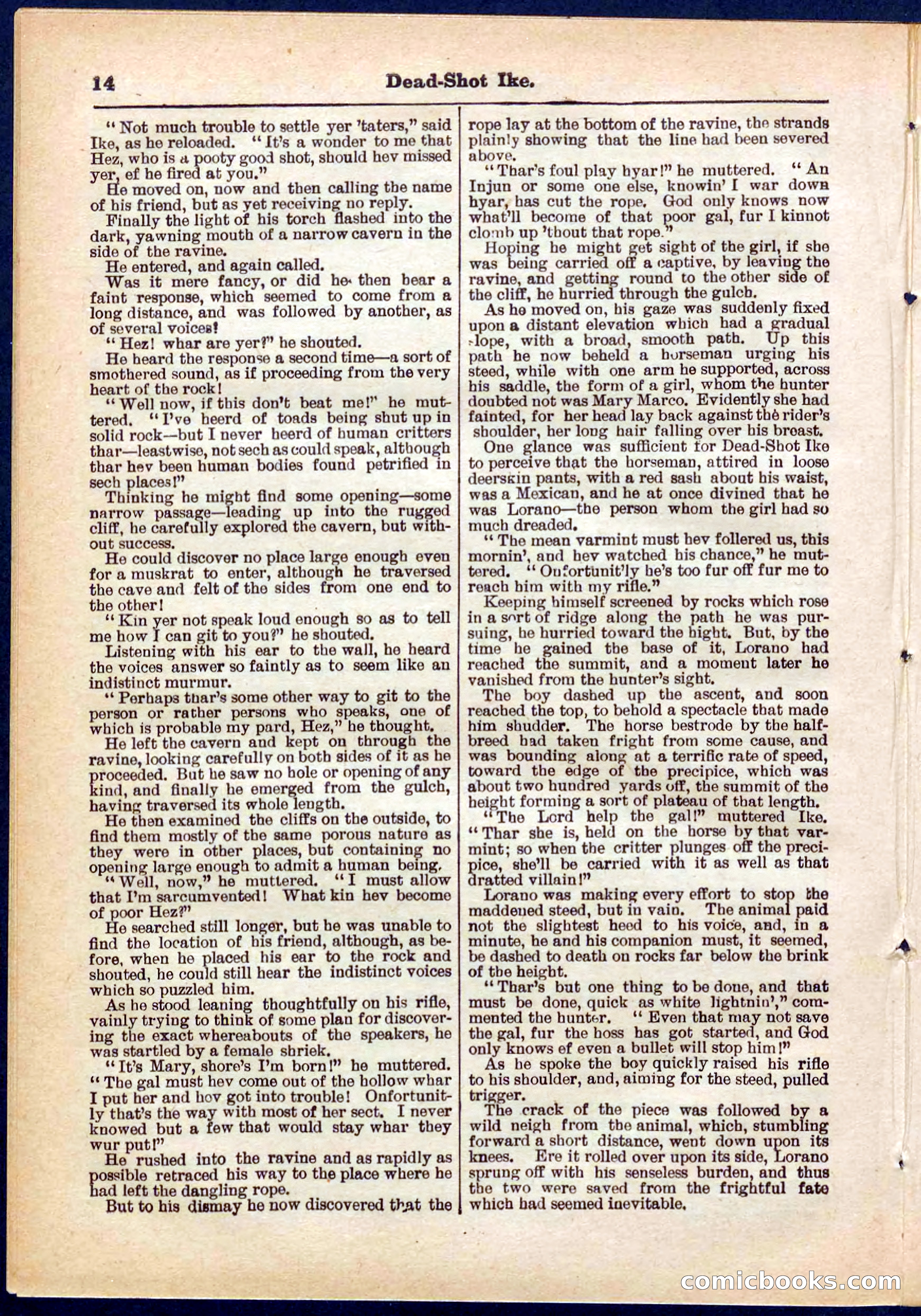 Beadle's Pocket Library No. 323 — page 14 of 32