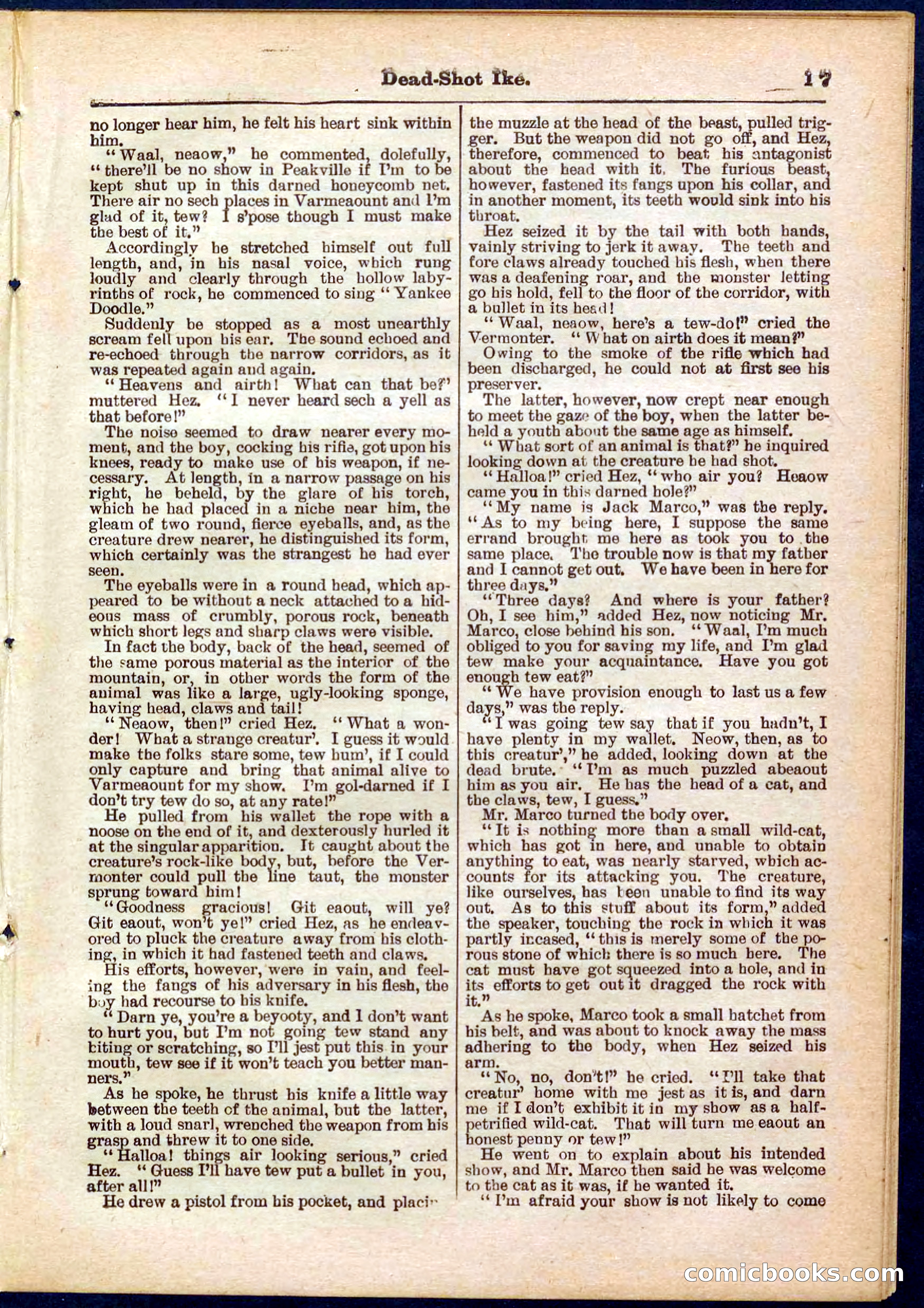 Beadle's Pocket Library No. 323 — page 17 of 32