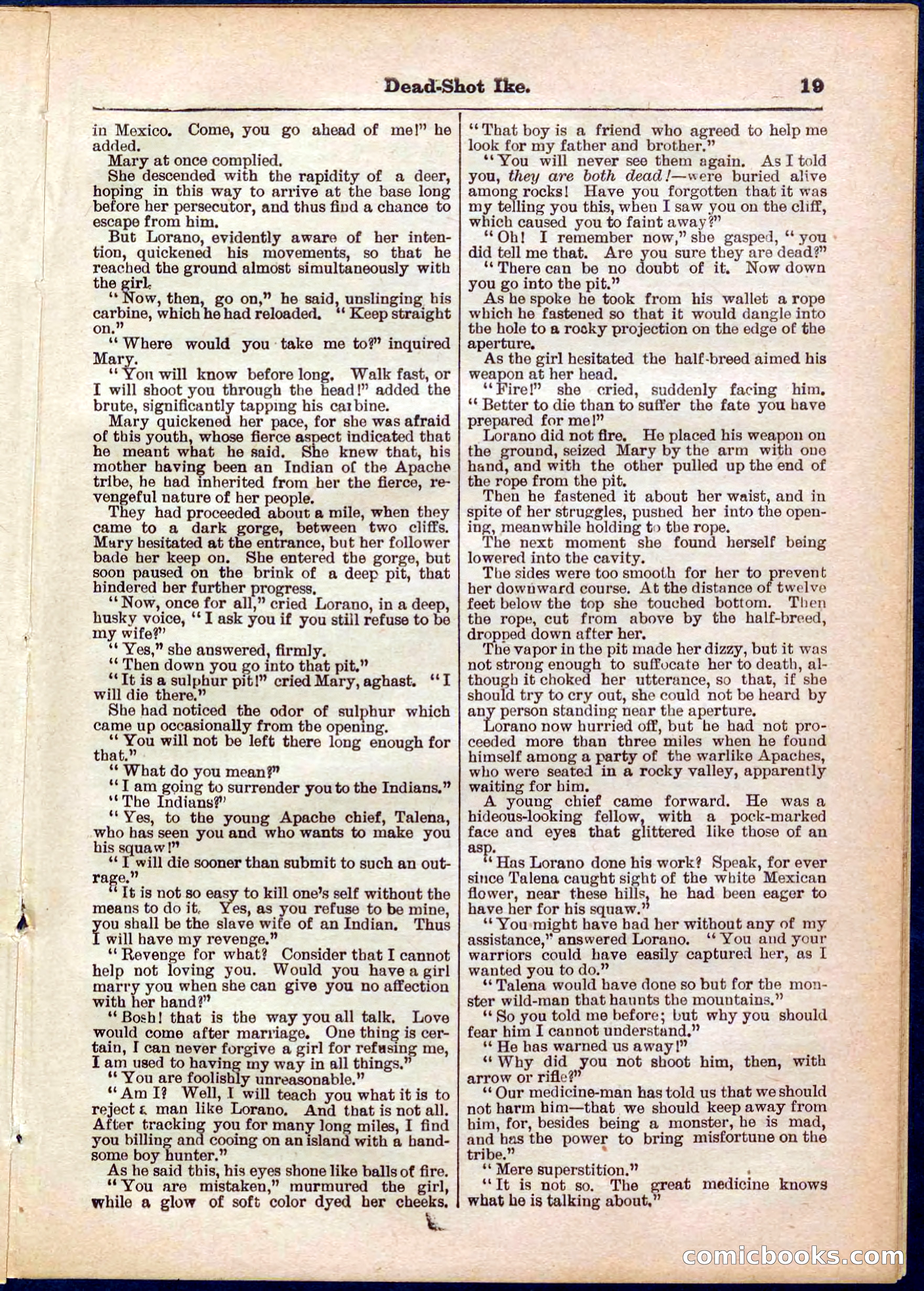 Beadle's Pocket Library No. 323 — page 19 of 32