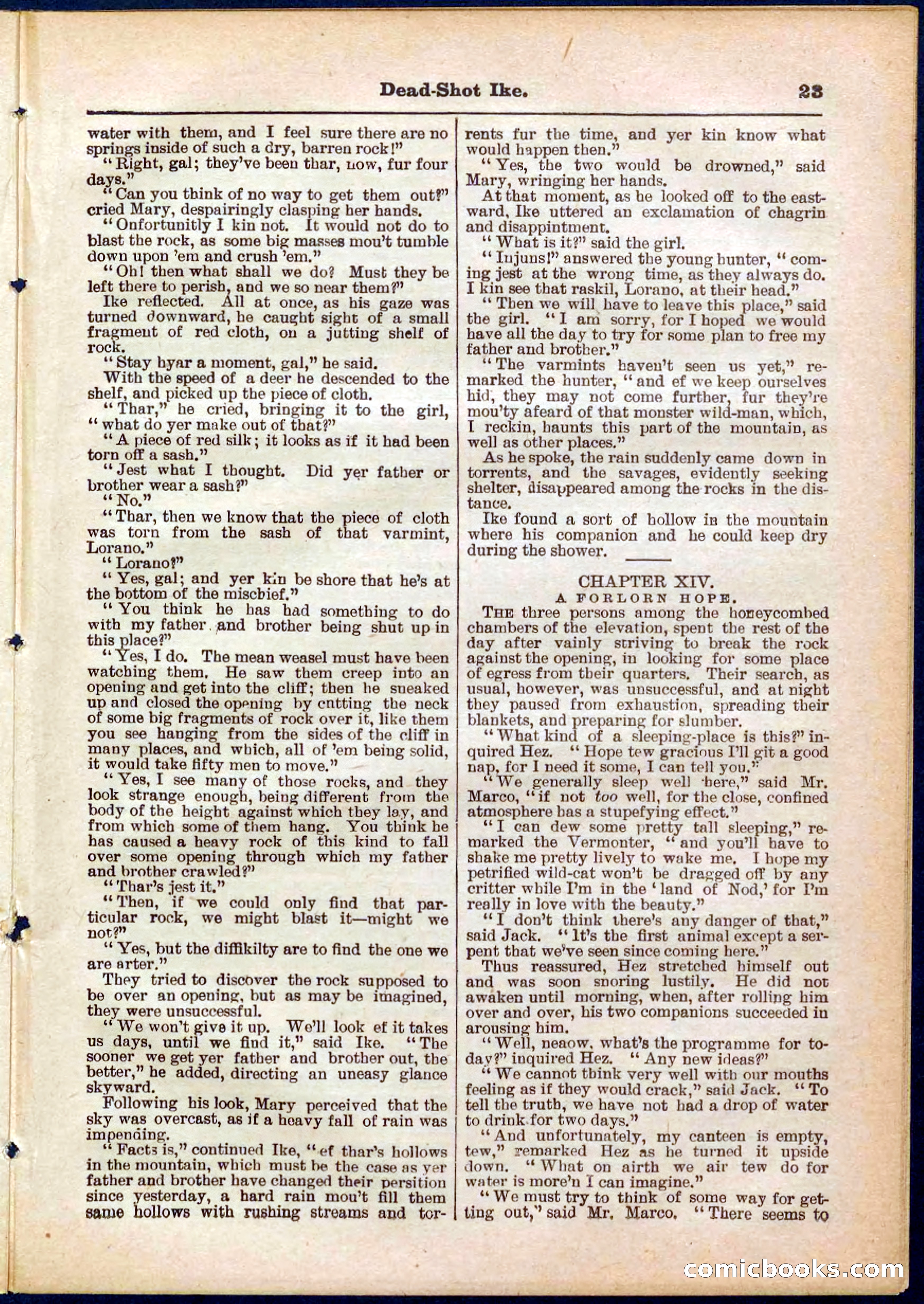 Beadle's Pocket Library No. 323 — page 23 of 32