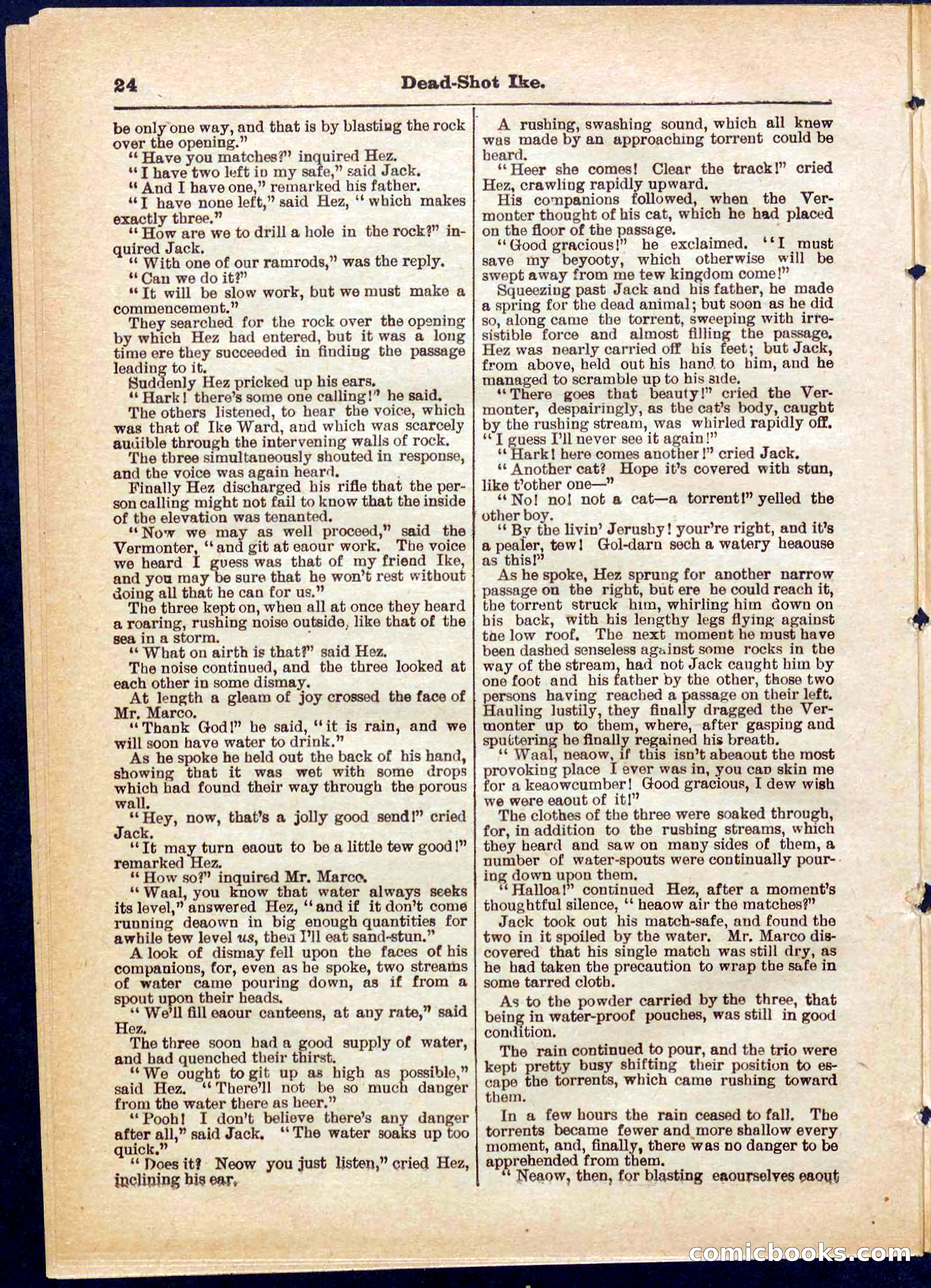 Beadle's Pocket Library No. 323 — page 24 of 32