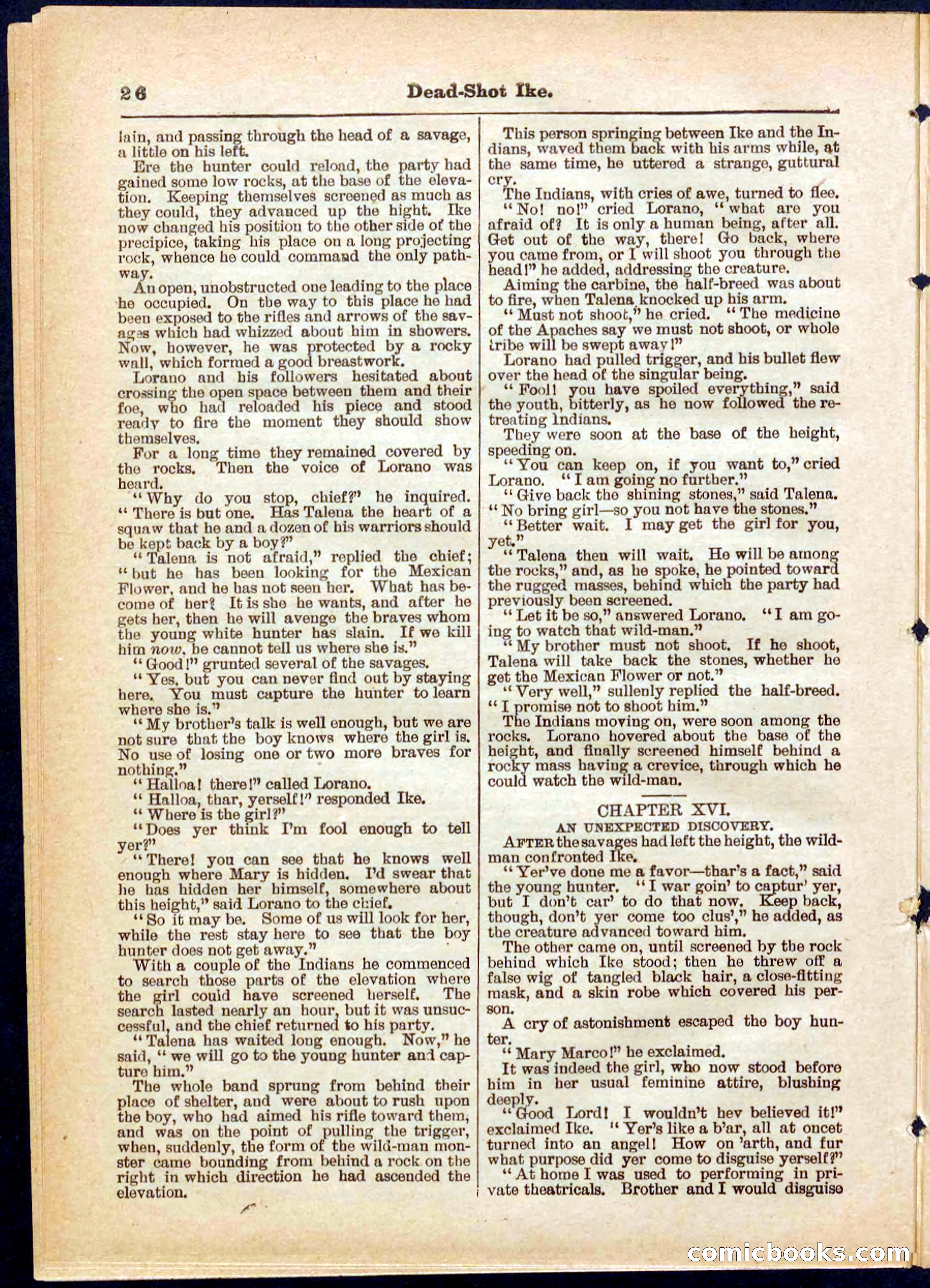 Beadle's Pocket Library No. 323 — page 26 of 32