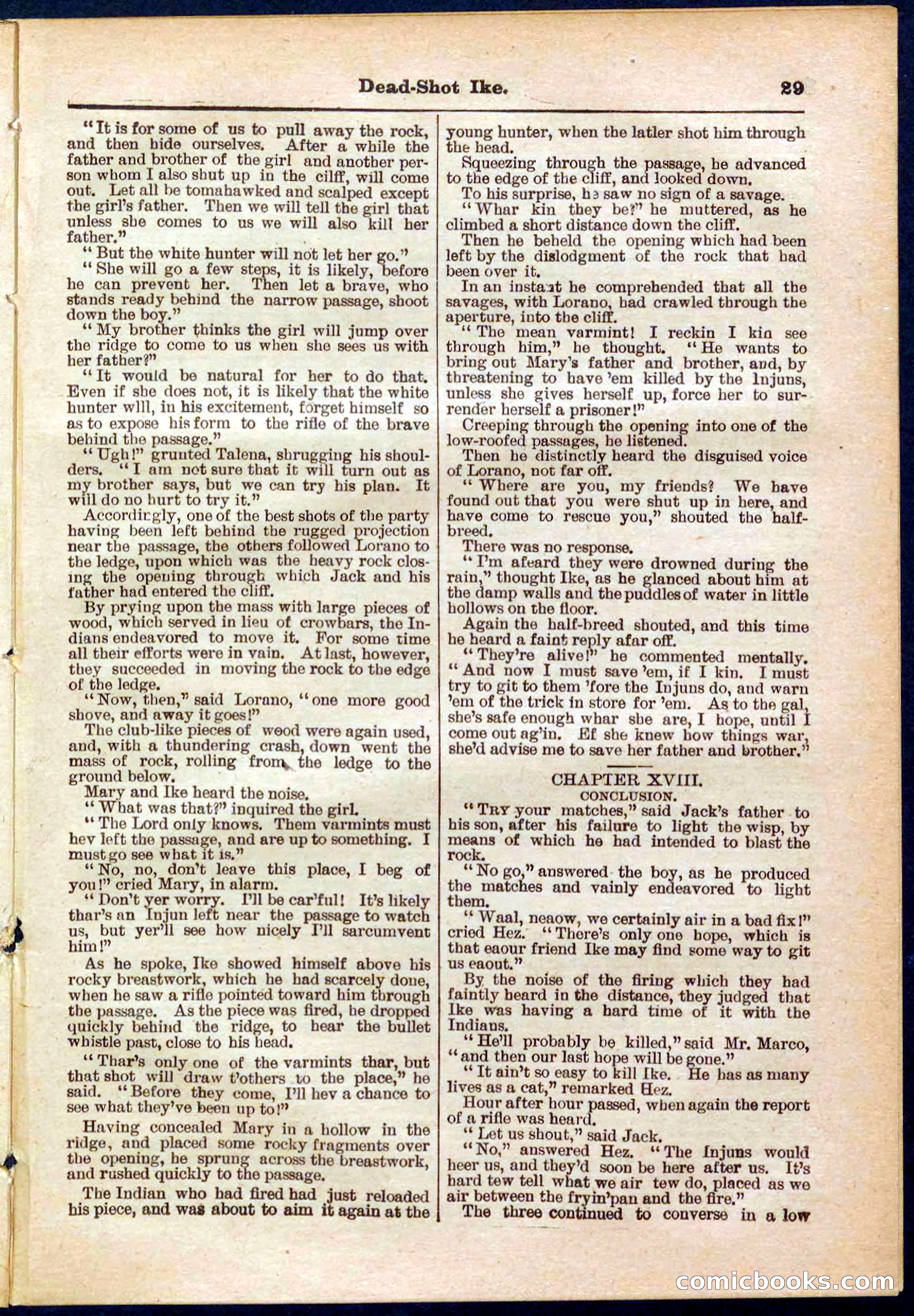 Beadle's Pocket Library No. 323 — page 29 of 32